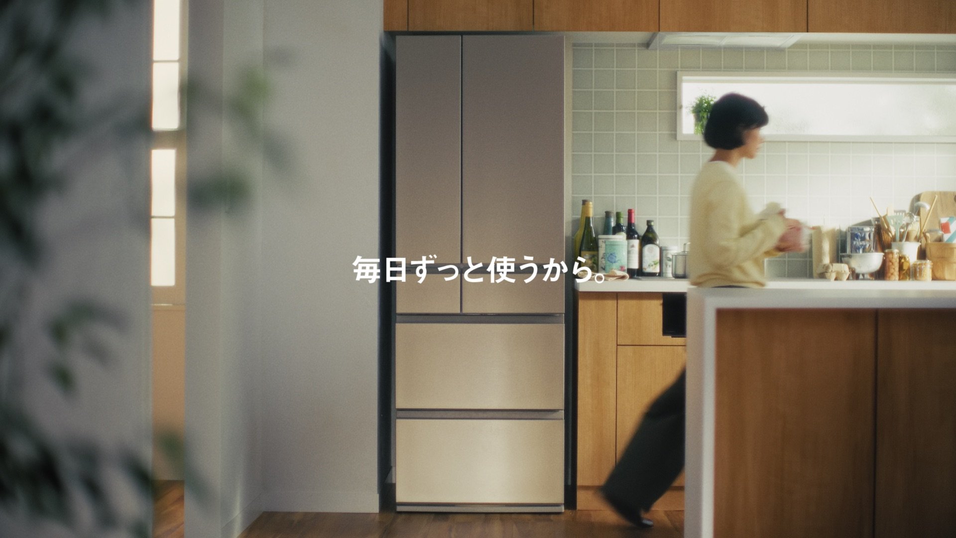 panasonic_refrigerator_NR-F55HY2_37.jpeg