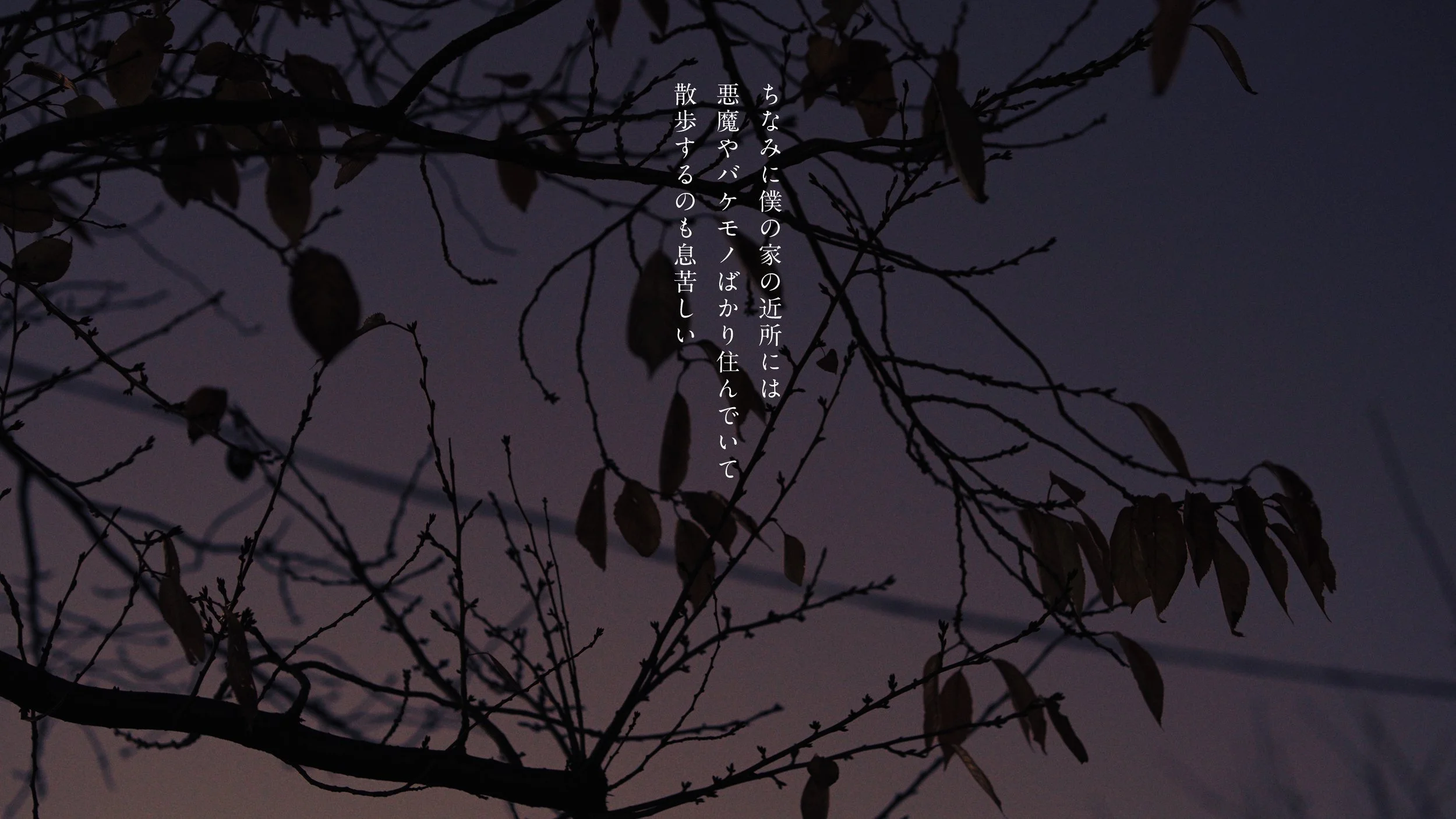 hata_matayoshi_hitorigoto_241210_422HQ.00_02_11_16.040.jpeg
