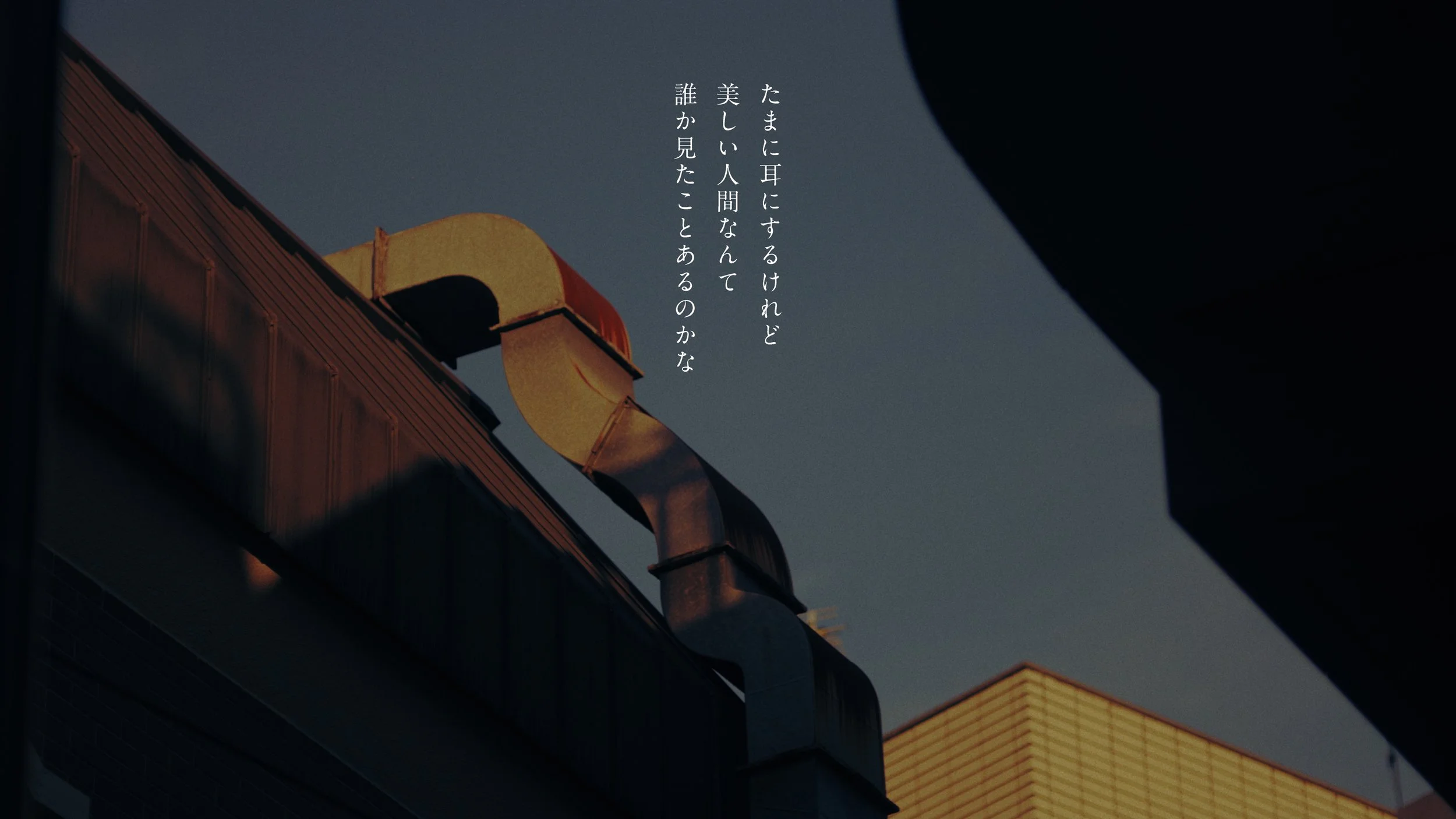 hata_matayoshi_hitorigoto_241210_422HQ.00_01_49_20.029.jpeg