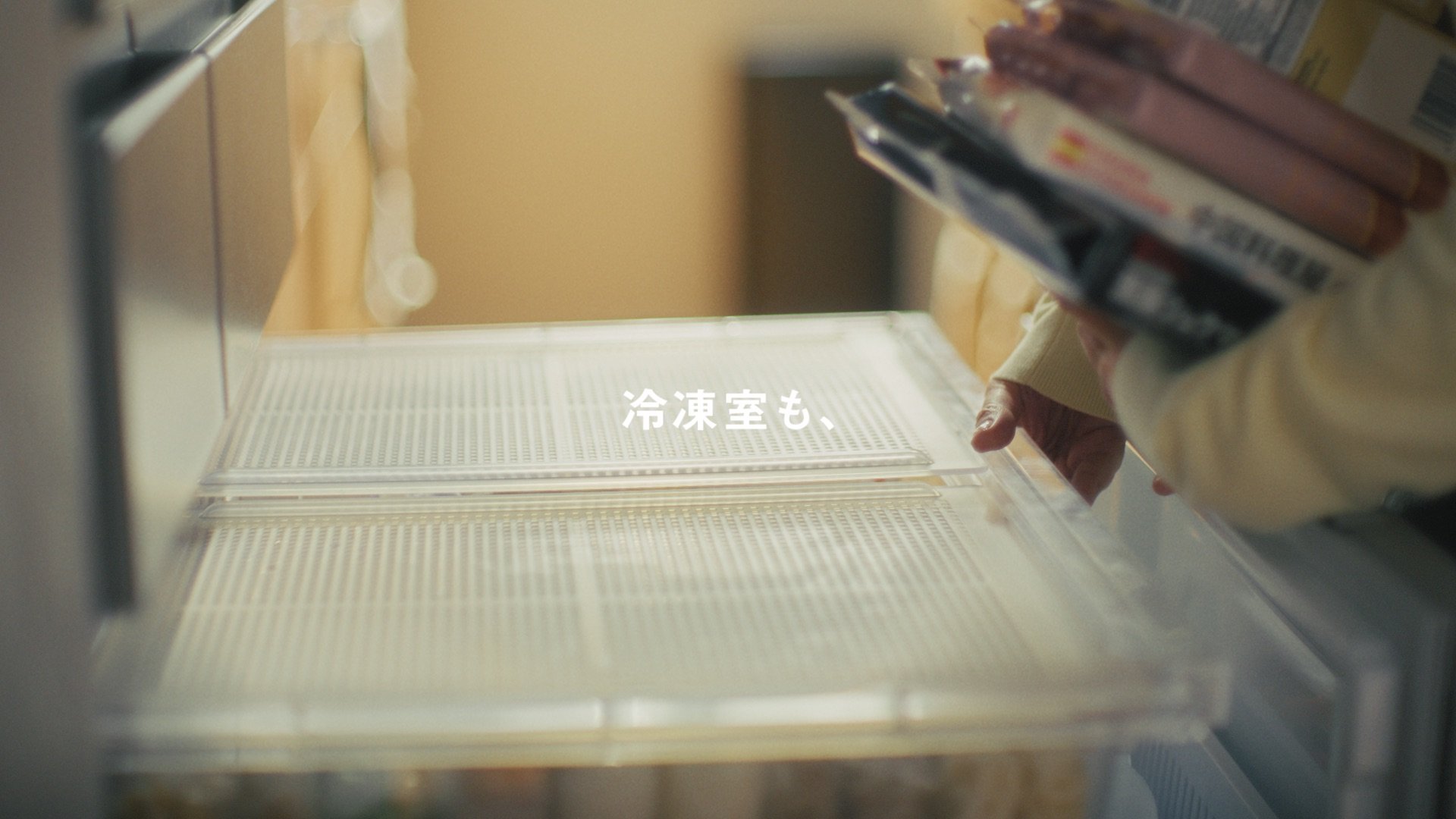 panasonic_refrigerator_NR-F55HY2_14.jpeg
