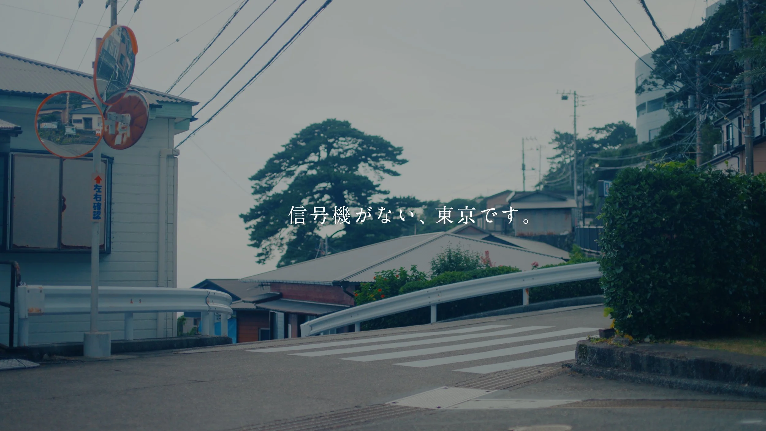 mikurajima_pv_00006.jpeg