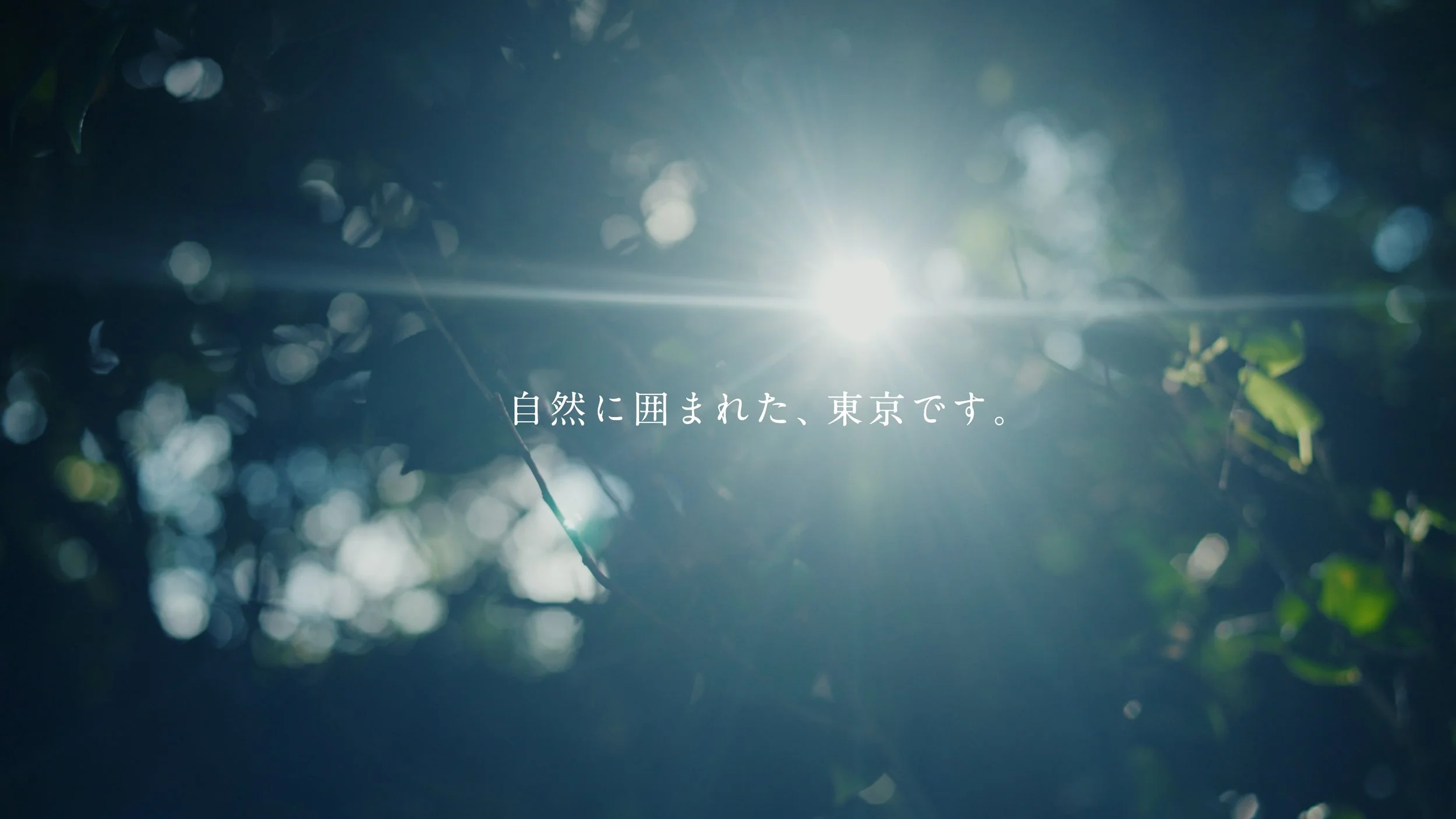mikurajima_pv_00065.jpeg