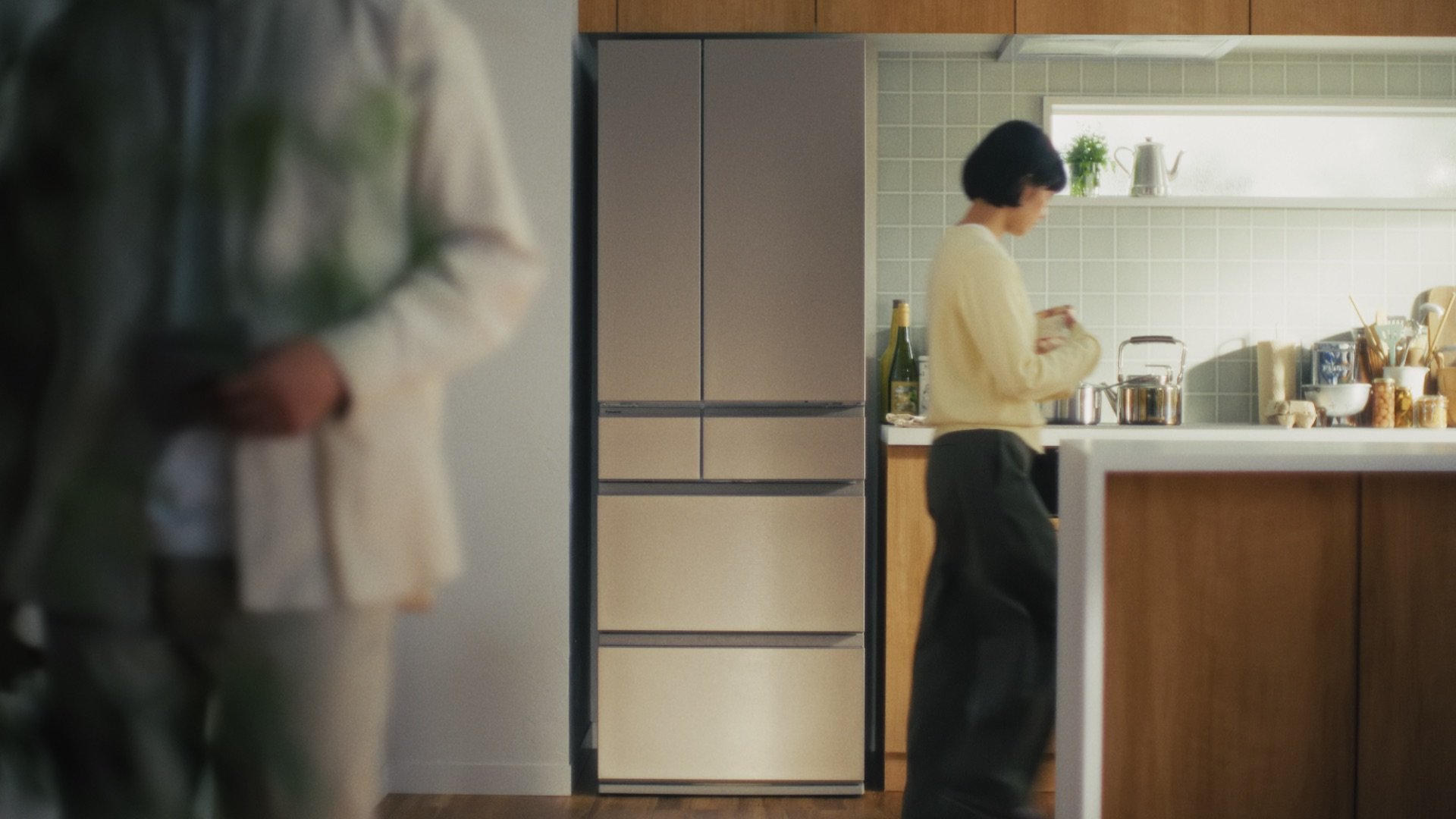panasonic_refrigerator_NR-F55HY2_75.jpeg