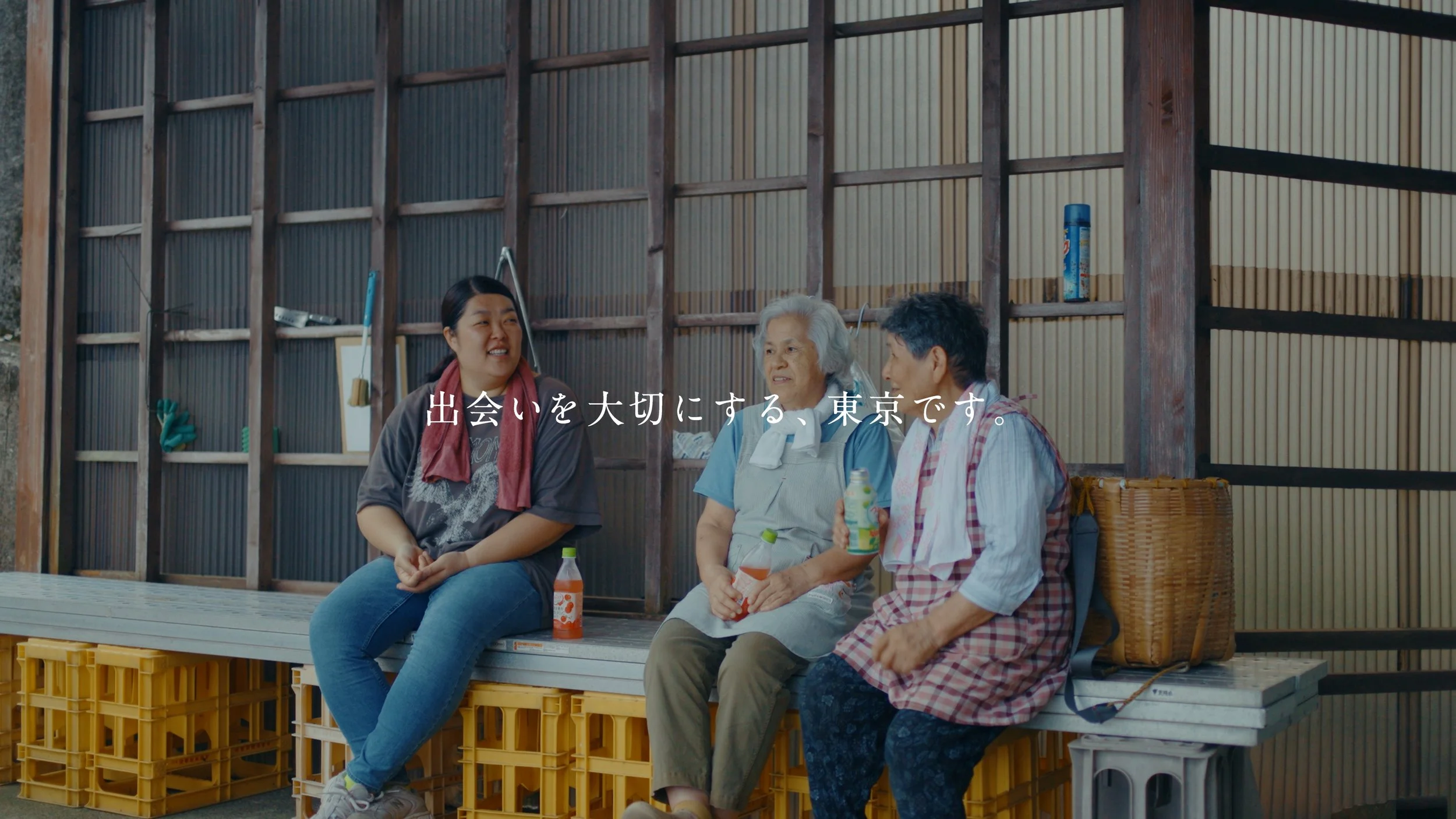 mikurajima_pv_00127.jpeg