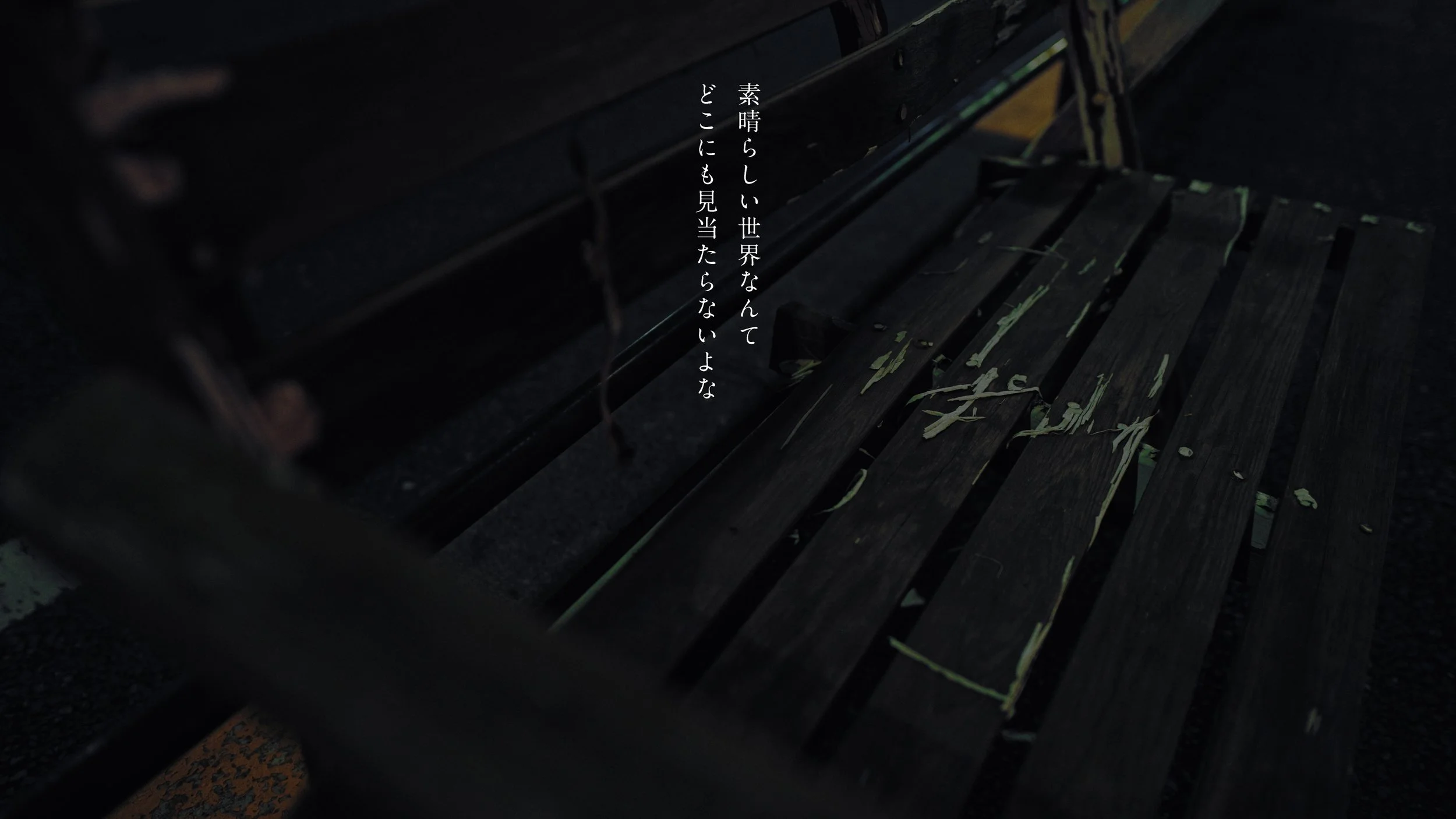 hata_matayoshi_hitorigoto_241210_422HQ.00_02_05_00.038.jpeg
