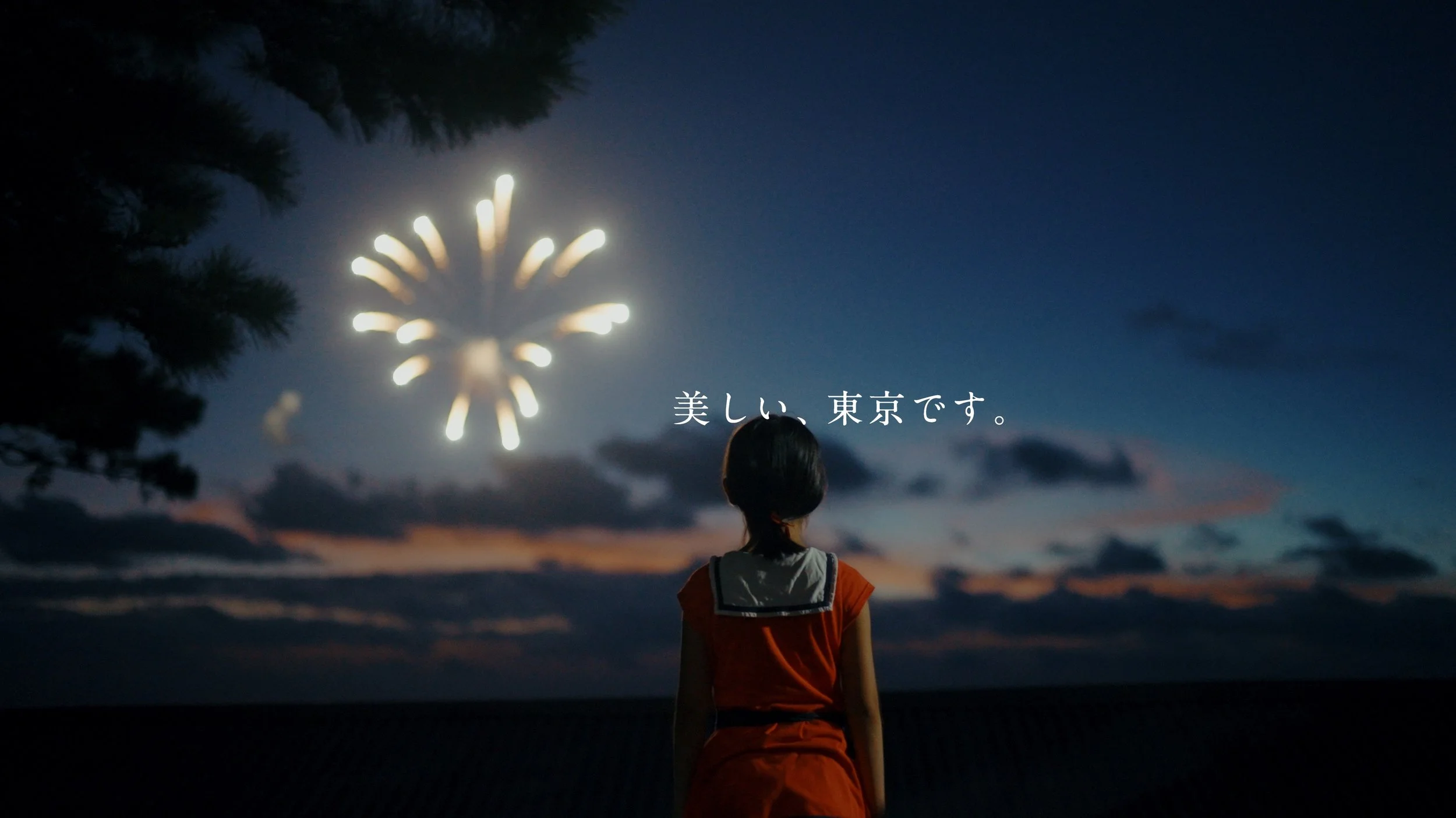 mikurajima_pv_00183.jpeg