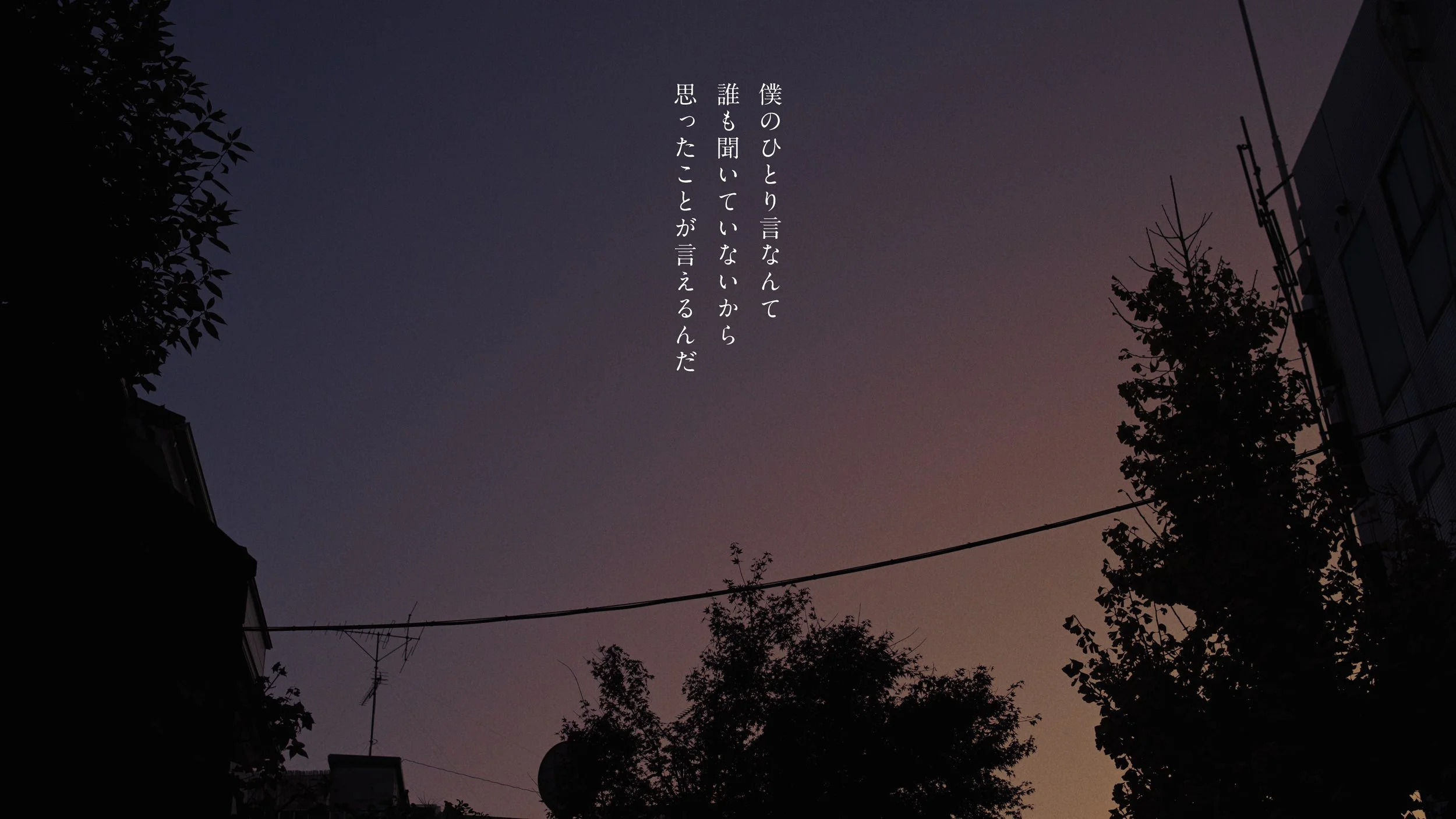 hata_matayoshi_hitorigoto_241210_422HQ.00_01_31_02.018.jpeg