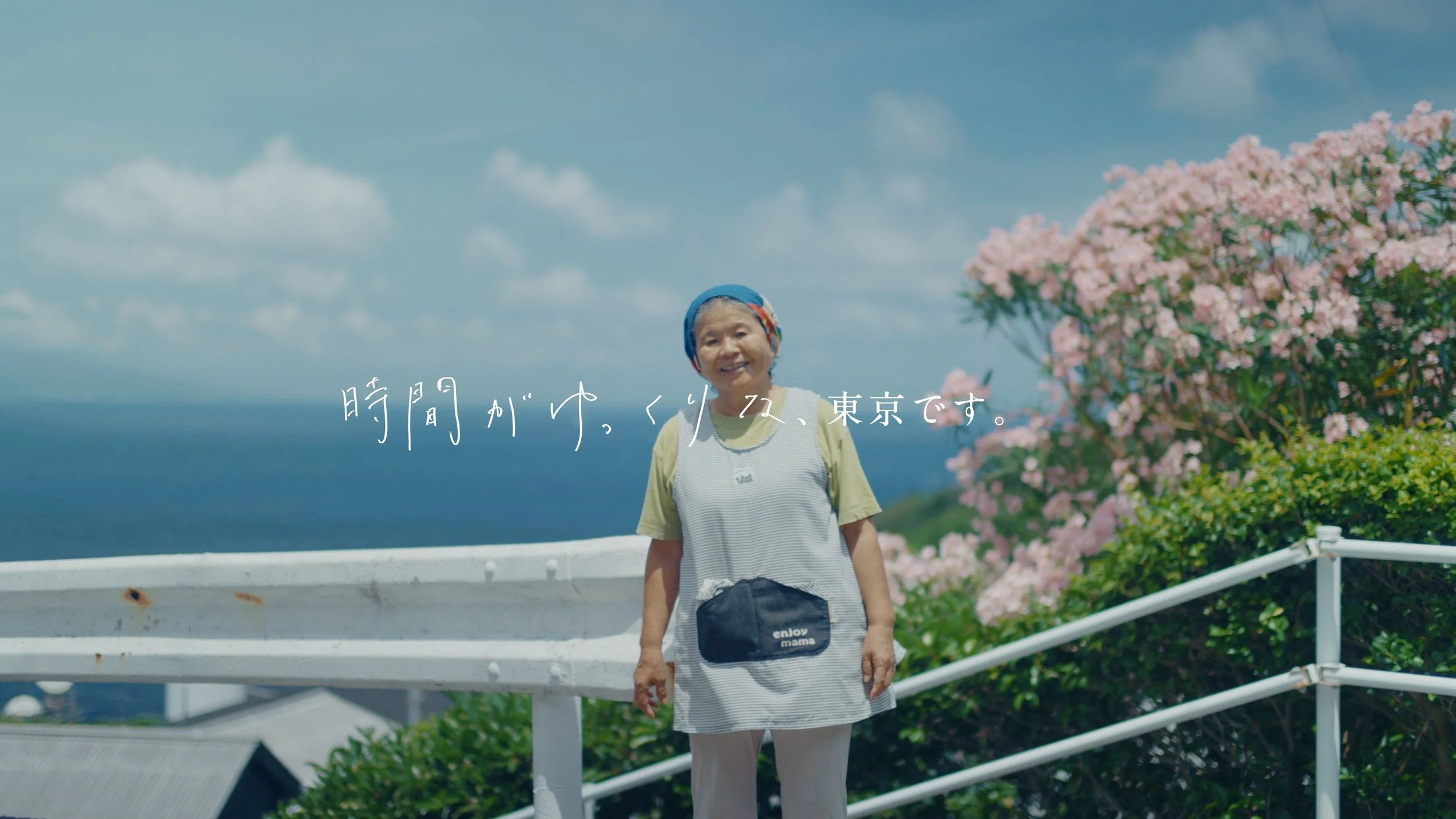 mikurajima_pv_00218.jpeg