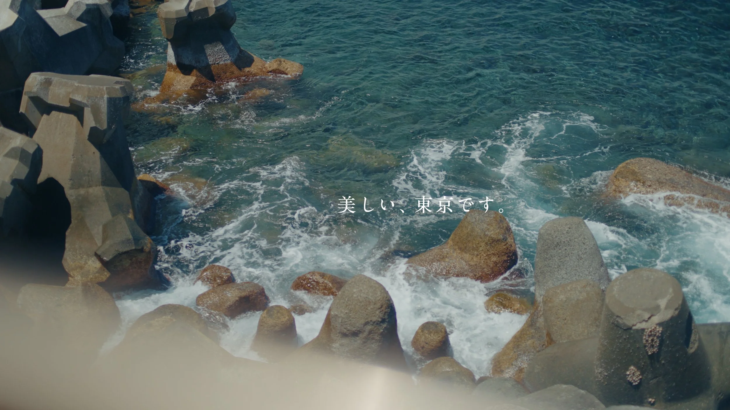 mikurajima_pv_00206.jpeg