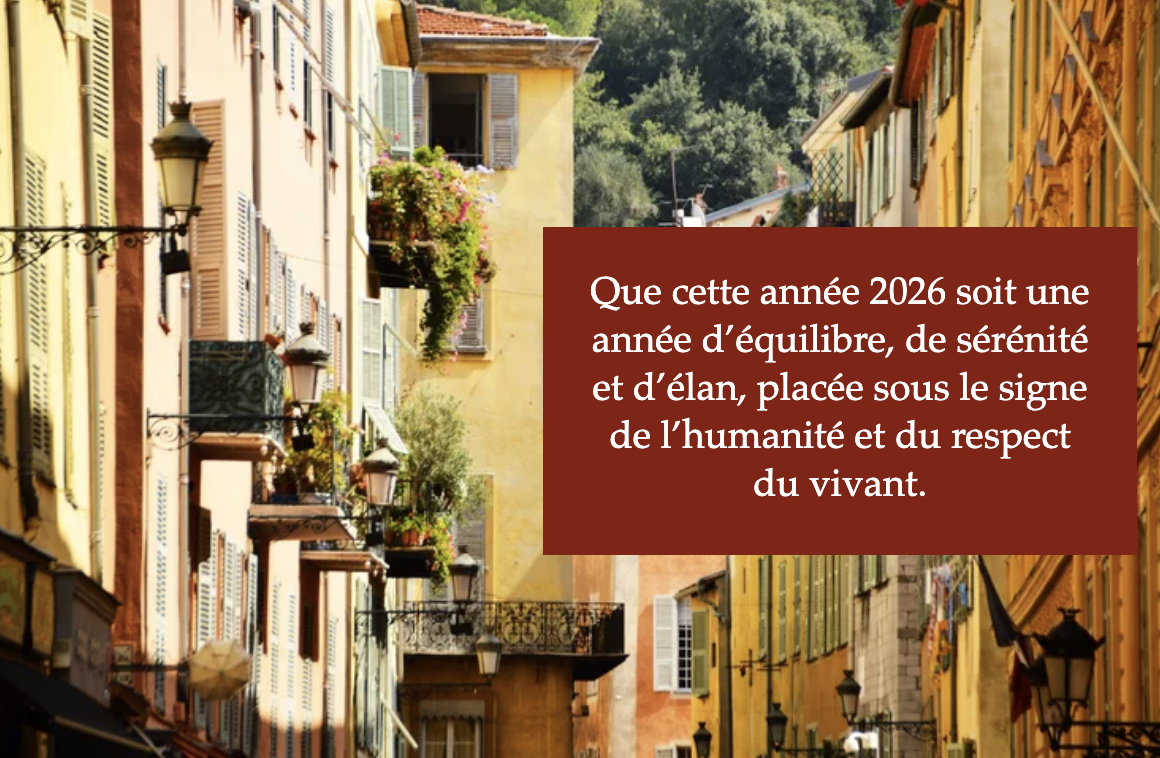 Capture d’écran 2026-01-01 à 09.49.14.png