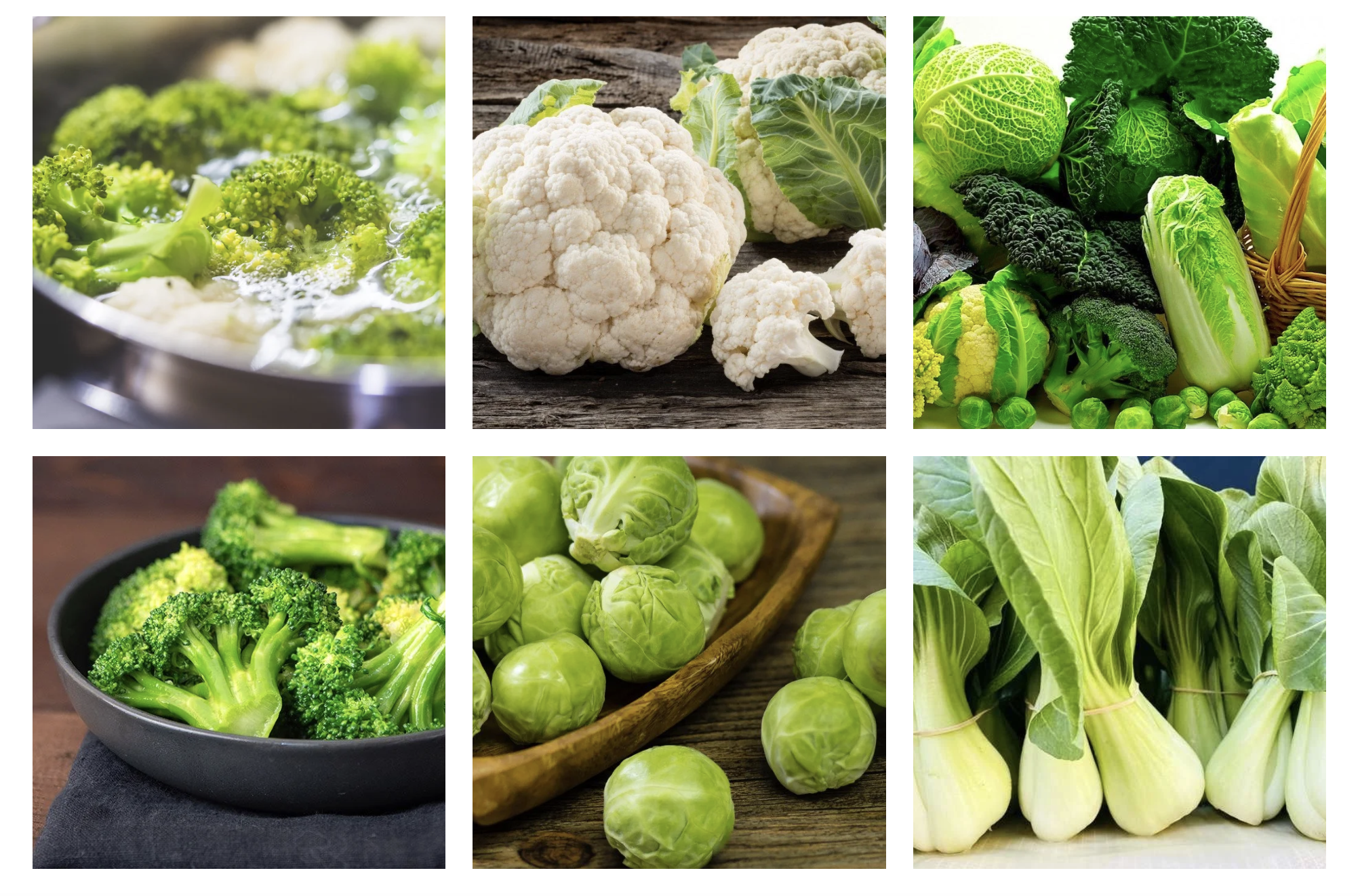 Quand les crucifères s’invitent sur les étals