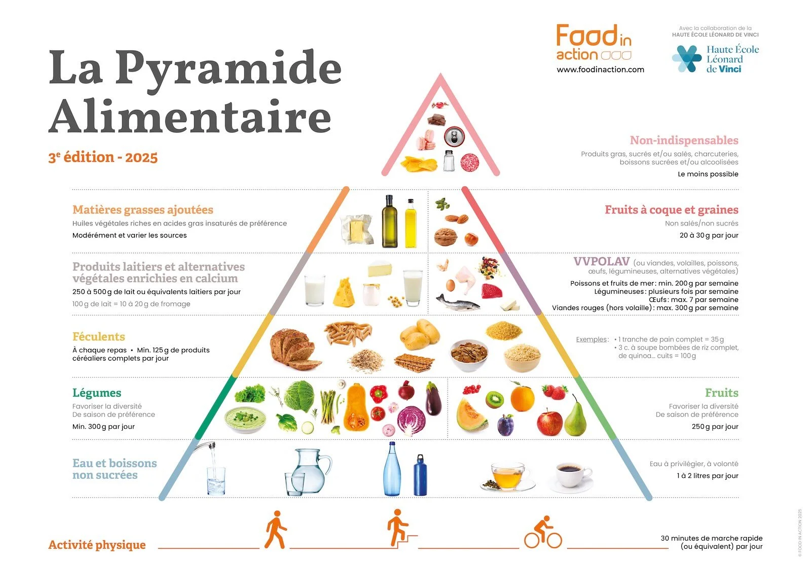 Nouvelle interprétation de la pyramide alimentaire : santé, durabilité et repères actuels