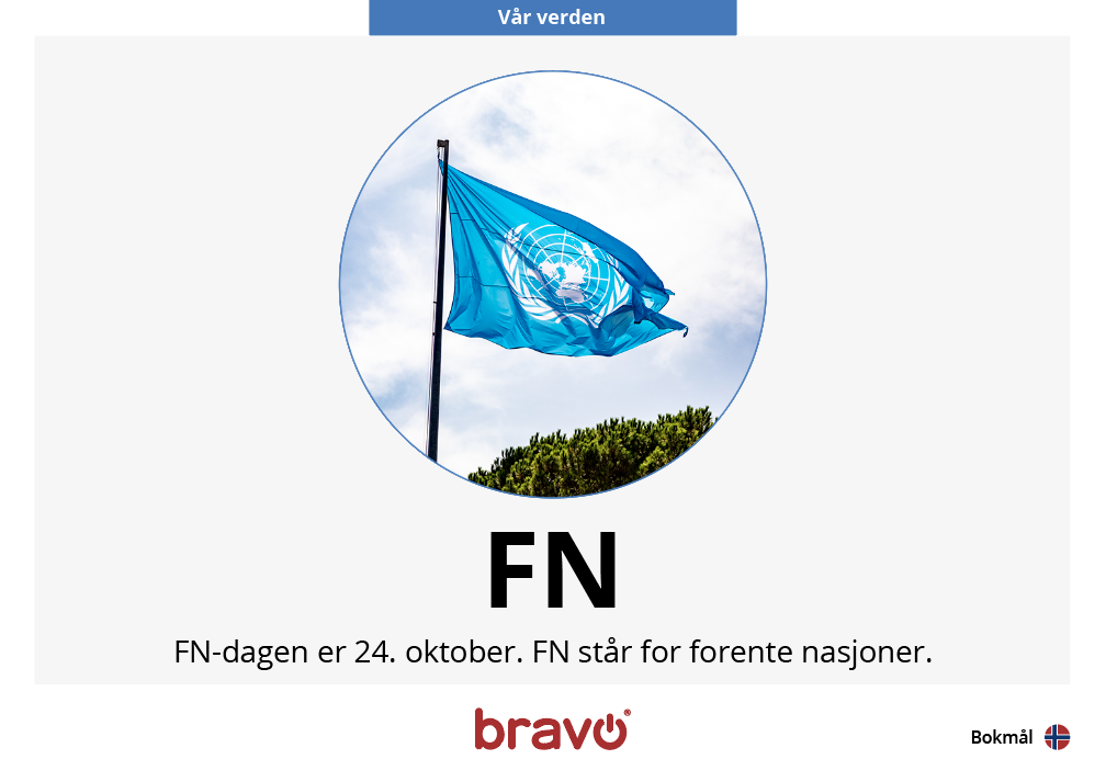 Skjermbilde 2024-10-21 kl. 12.03.53.png