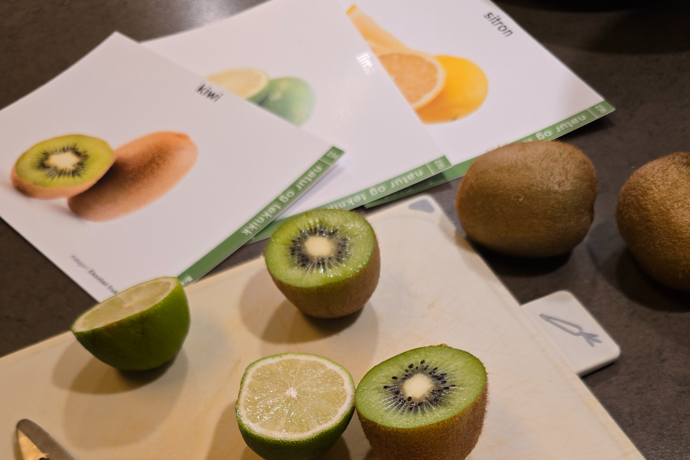 Mestring og inkludering bilde 6.png