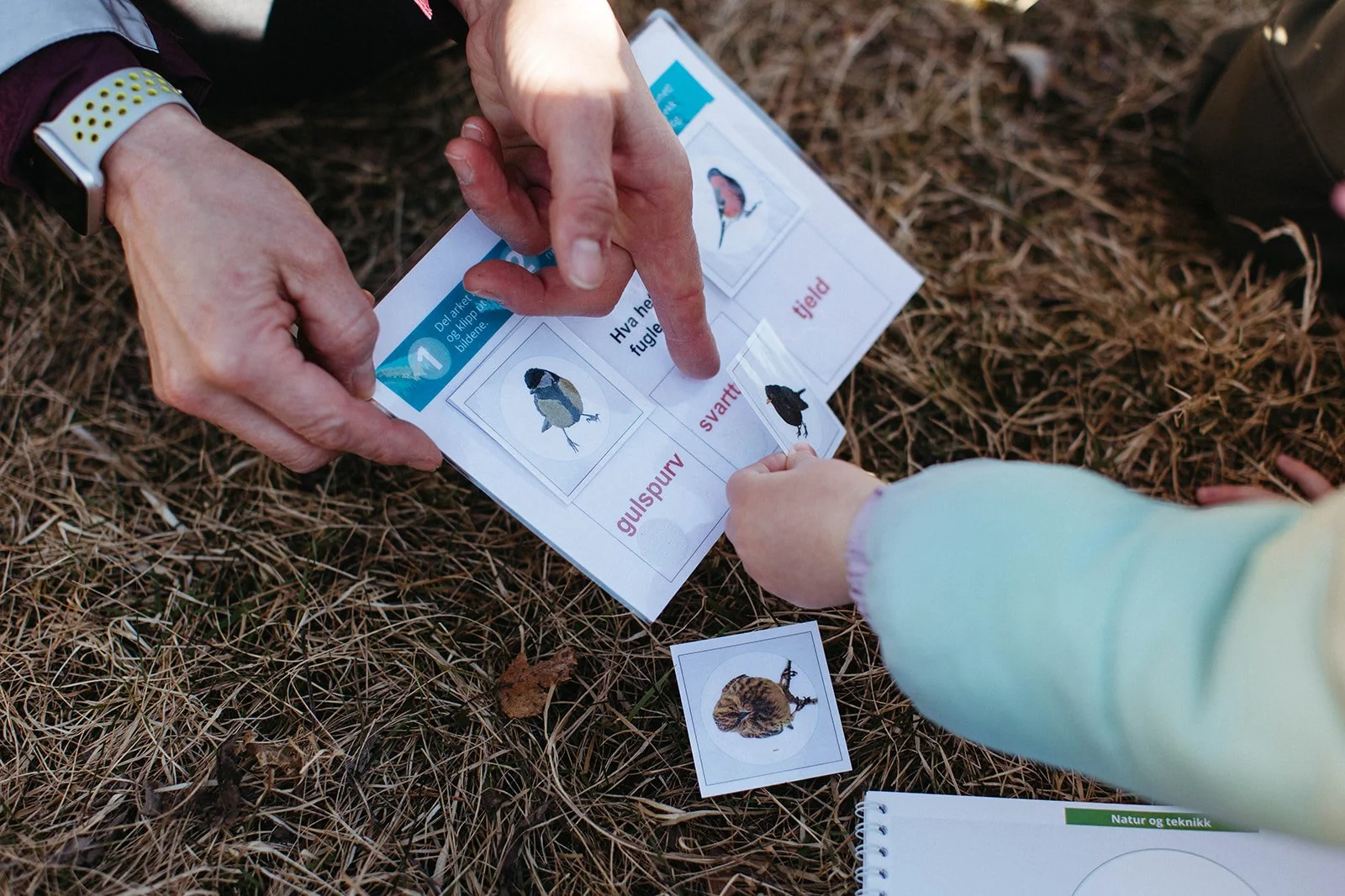 Last ned: Bravo Natursti