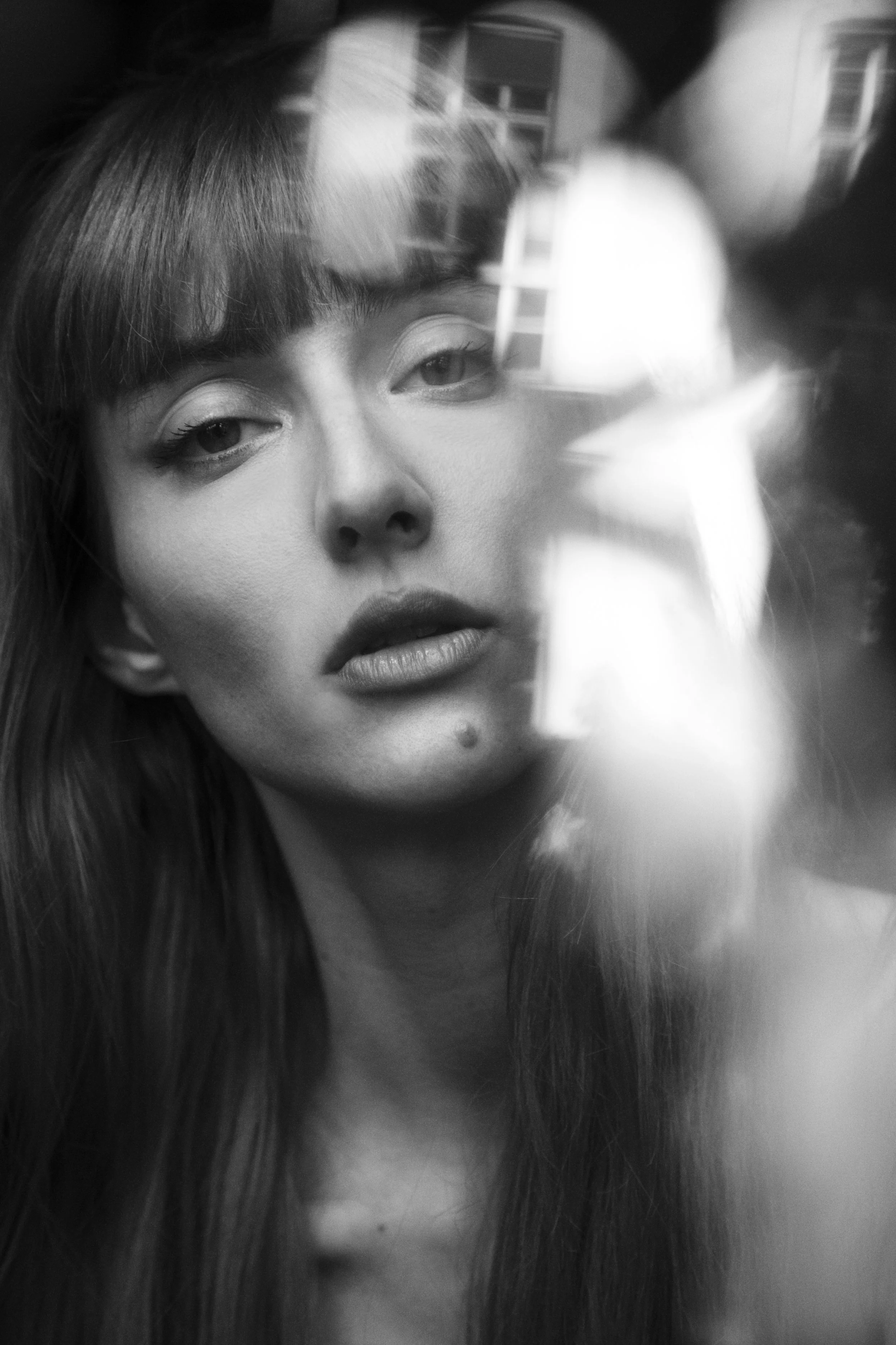 2Q5A2413 copie copie.JPG