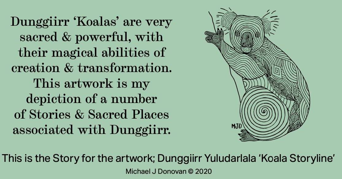 The Dunggiirr (koala) are sacred to the Gumbaynggirr People and culture, and to the landscape of the Gumbaynggirr Nation itself. 

According to the Gumbaynggirr People, Dunggiirr are a very powerful animal, with very strong magic, and their Spirit is