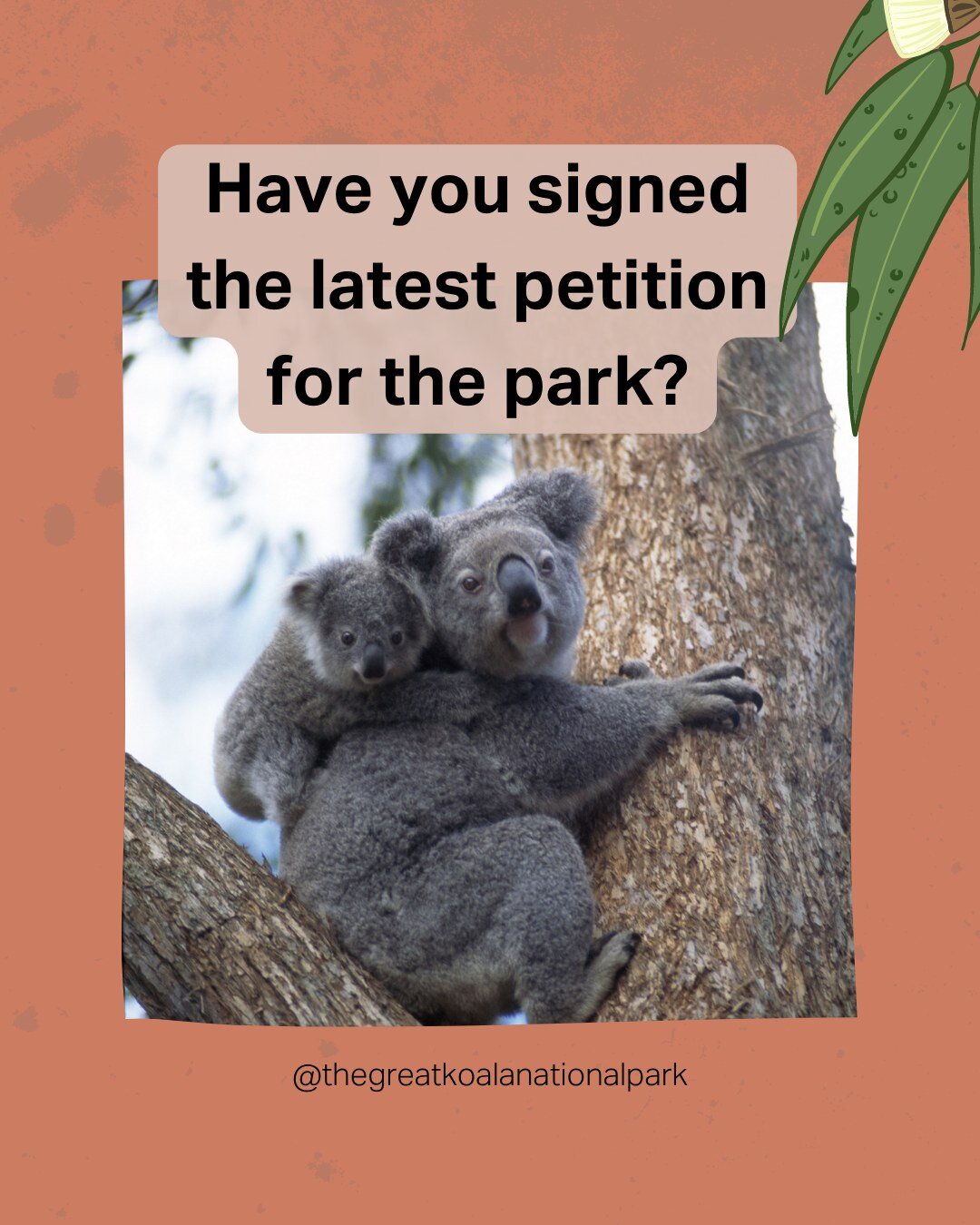 This petition is for NSW residents and asks the Legislative Council for two things:
🌿 That logging be suspended in the native forests within the proposed Great Koala National Park areas. This is to stop prime koala habitat from being destroyed.
🌿 T