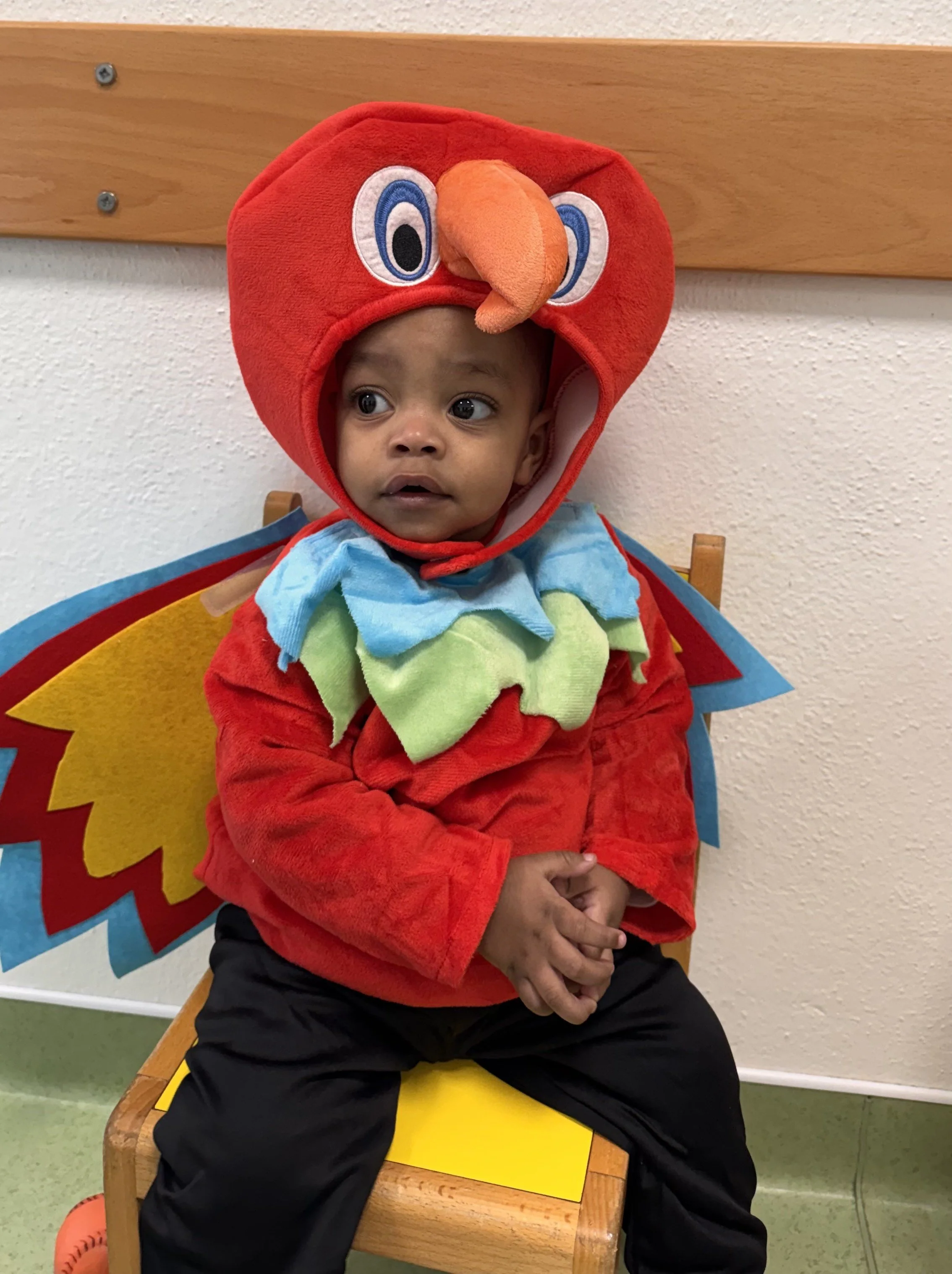 Carnaval26_Renascer (1).jpeg