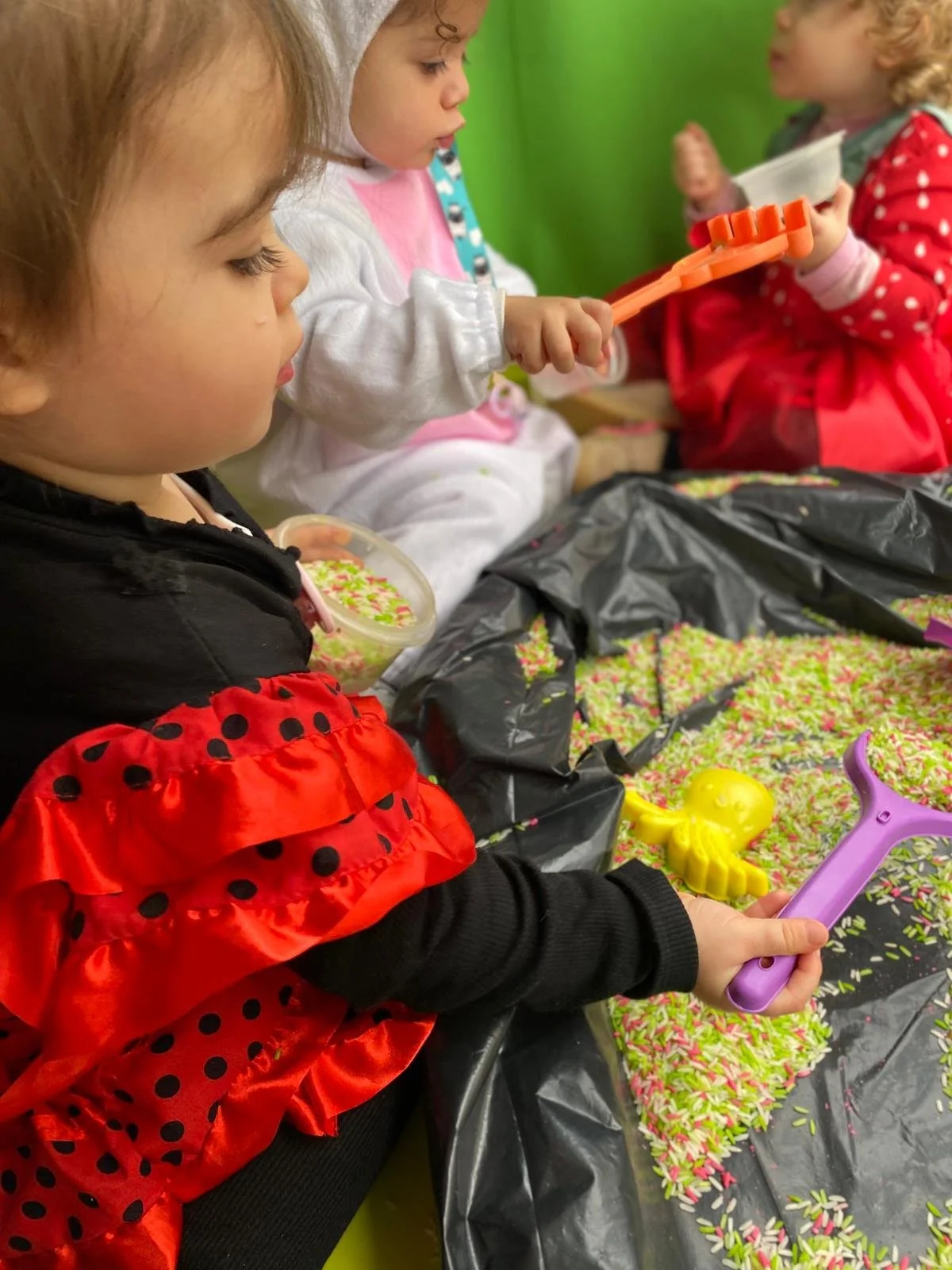 Carnaval26_Comunitario (2).jpg