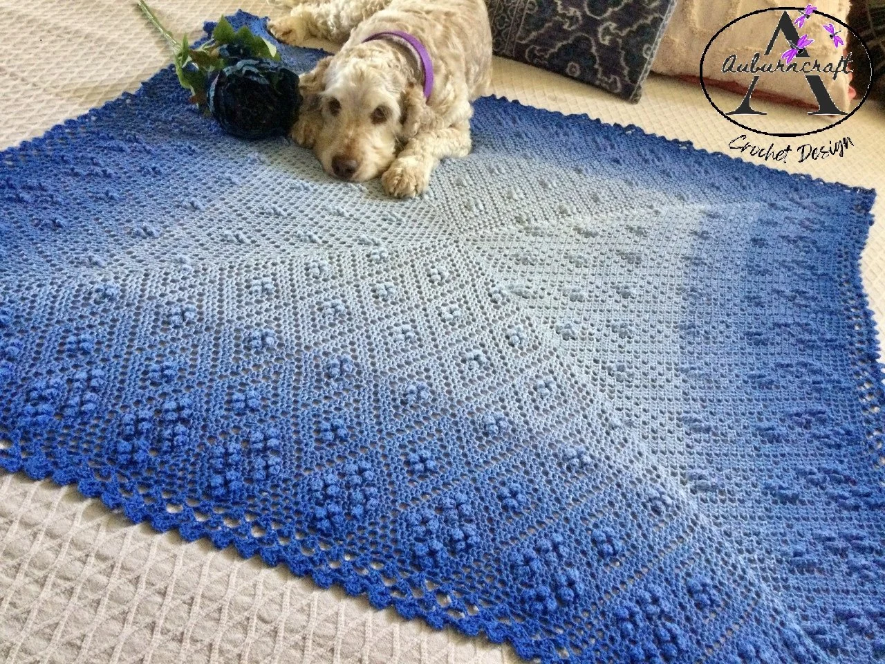 north south east west fin 16.logo.jpg