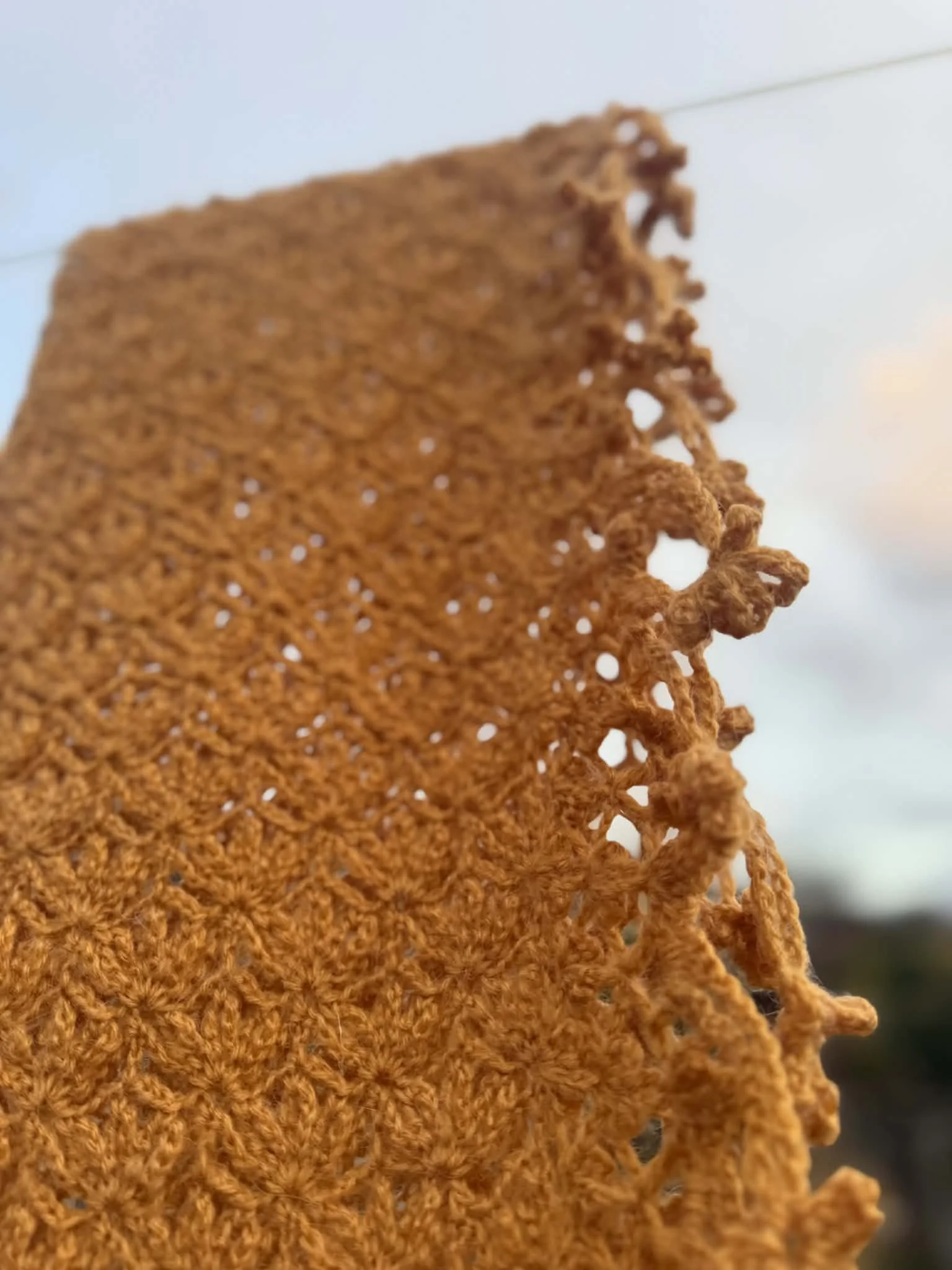 suzi violet haze 2.jpg