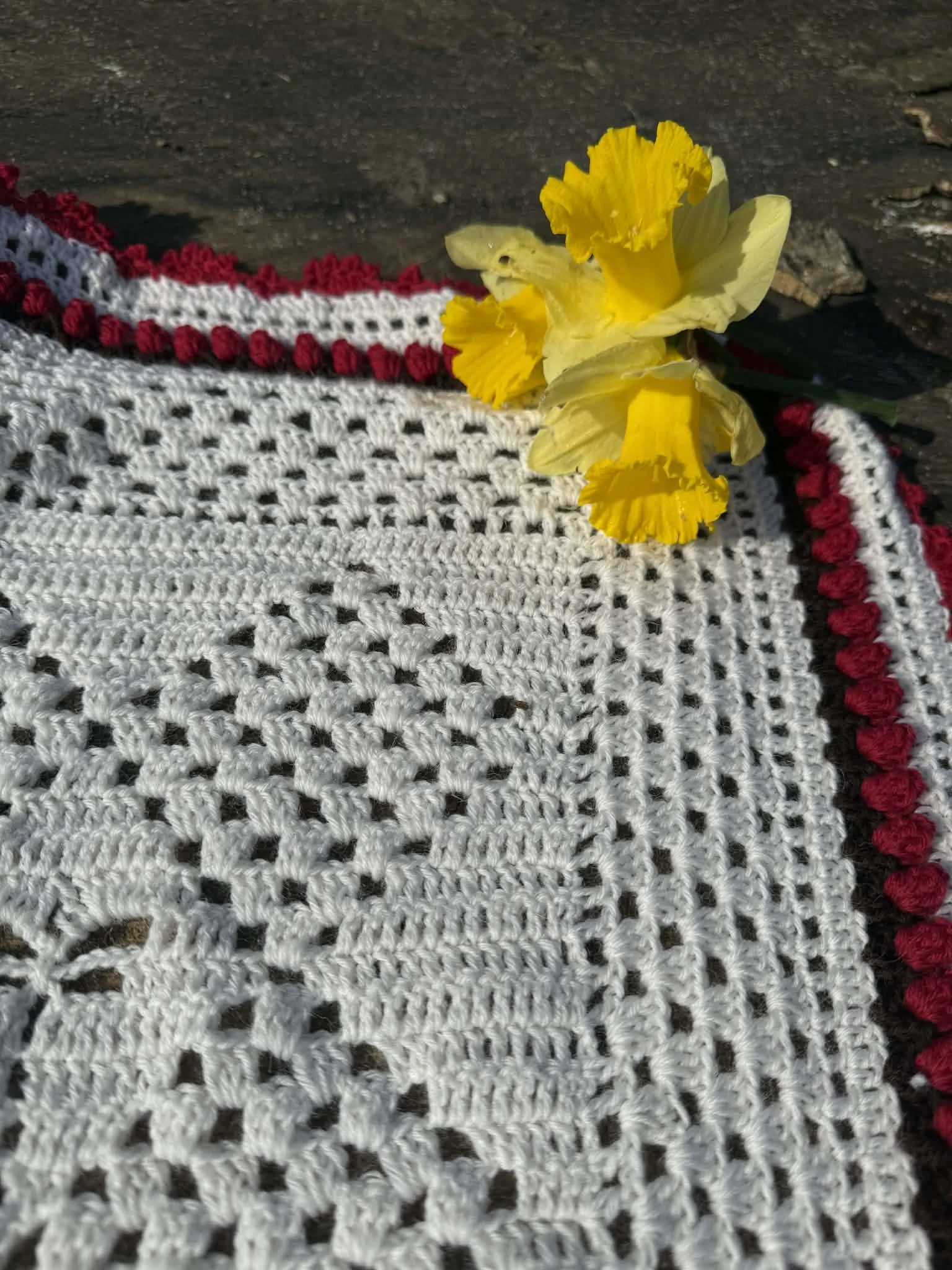 Suzipfer where the dragonflies dance 2.jpg