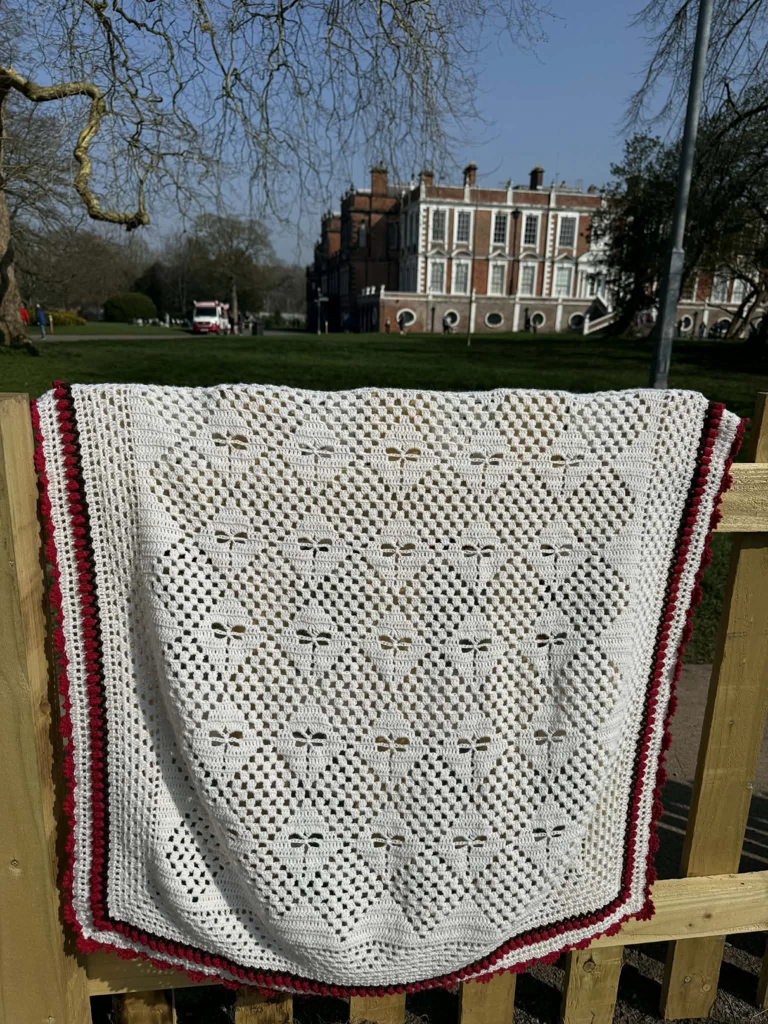 Suzipfer where the dragonflies dance 1.jpg