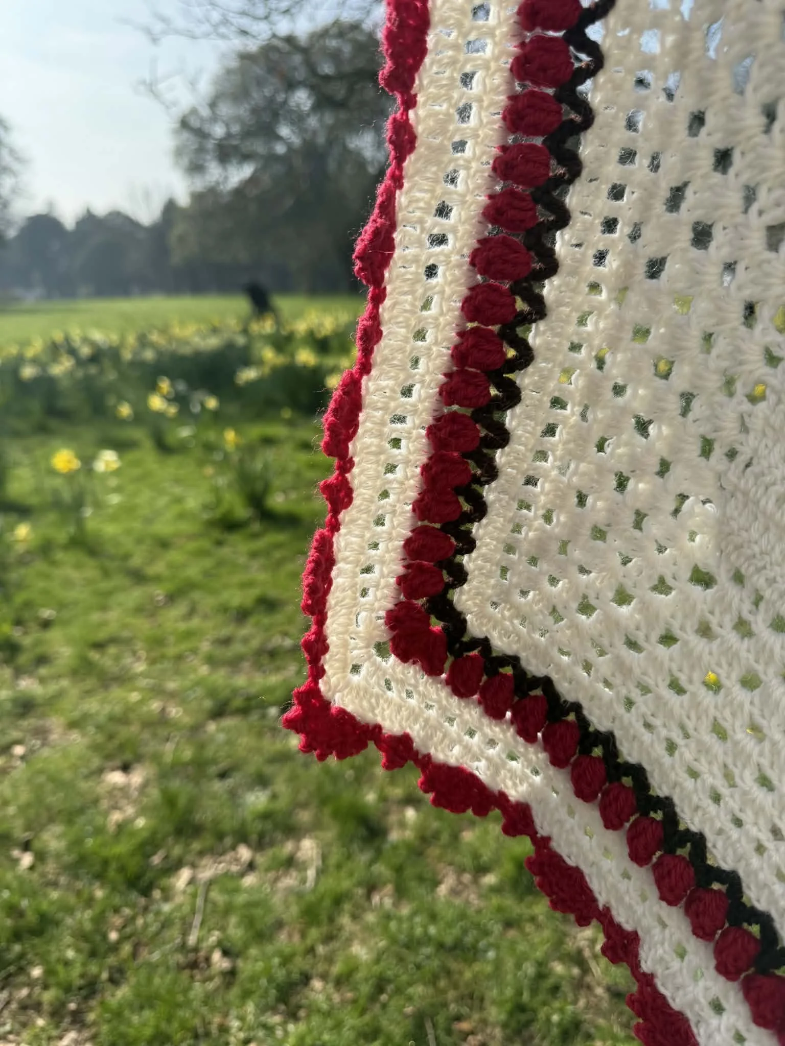 Suzipfer where the dragonflies dance 3.jpg