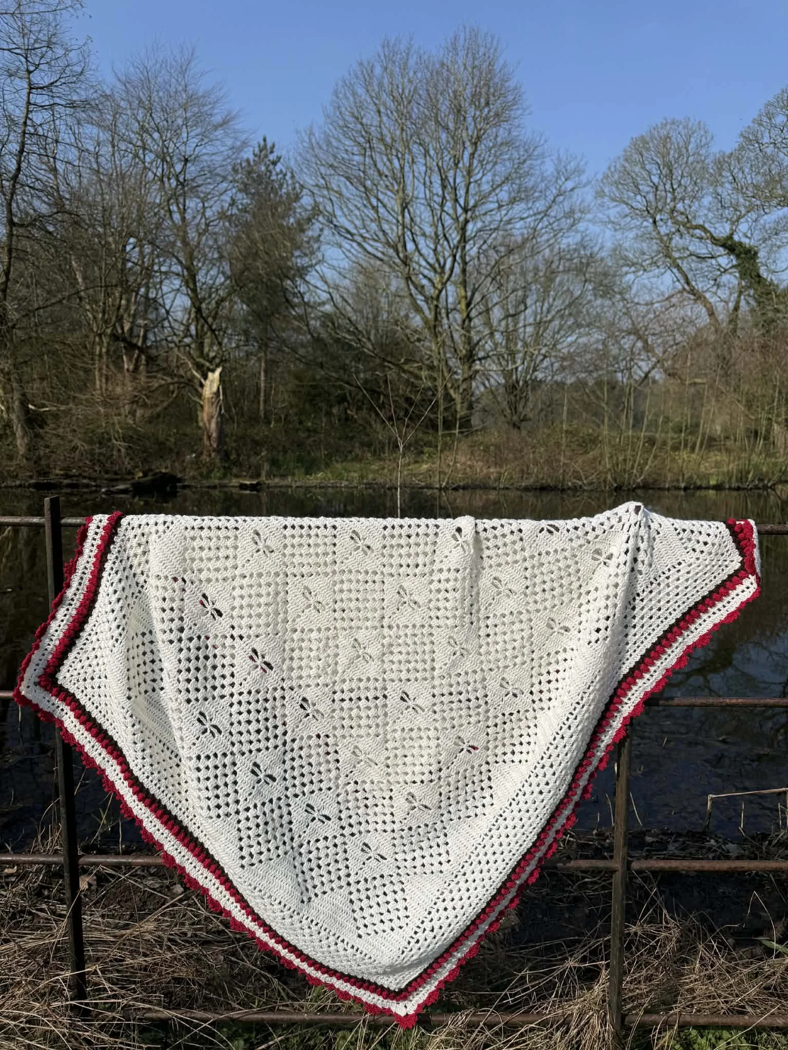 Suzipfer where the dragonflies dance 4.jpg