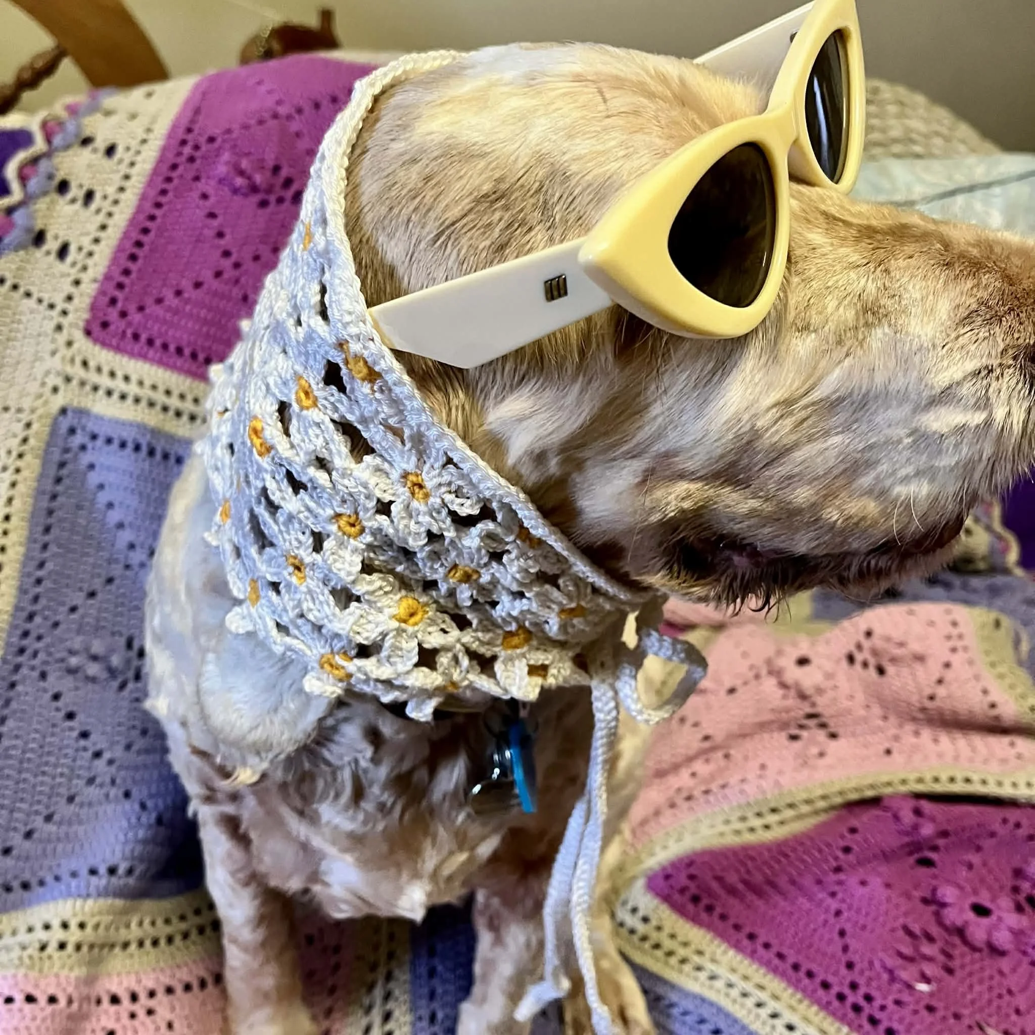 stella wearing makin daisies.jpg