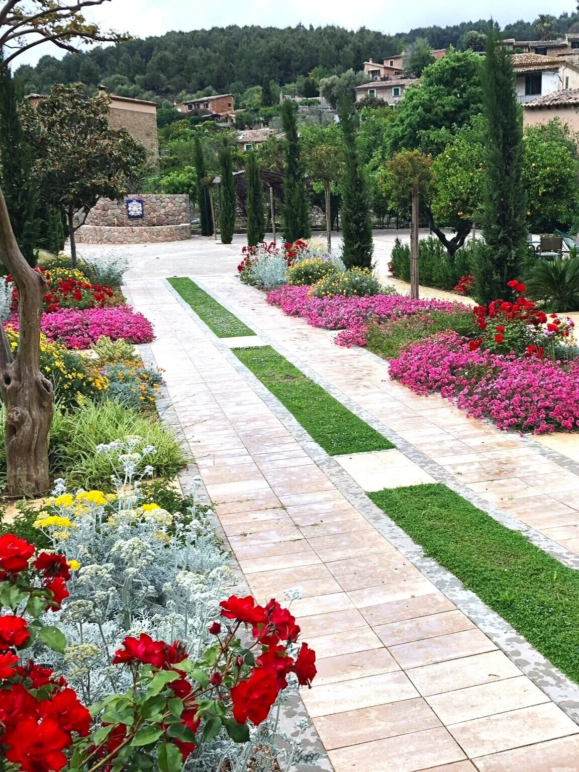Privater Garten Dienstleistungen, Sóller | MSMA Mallorca