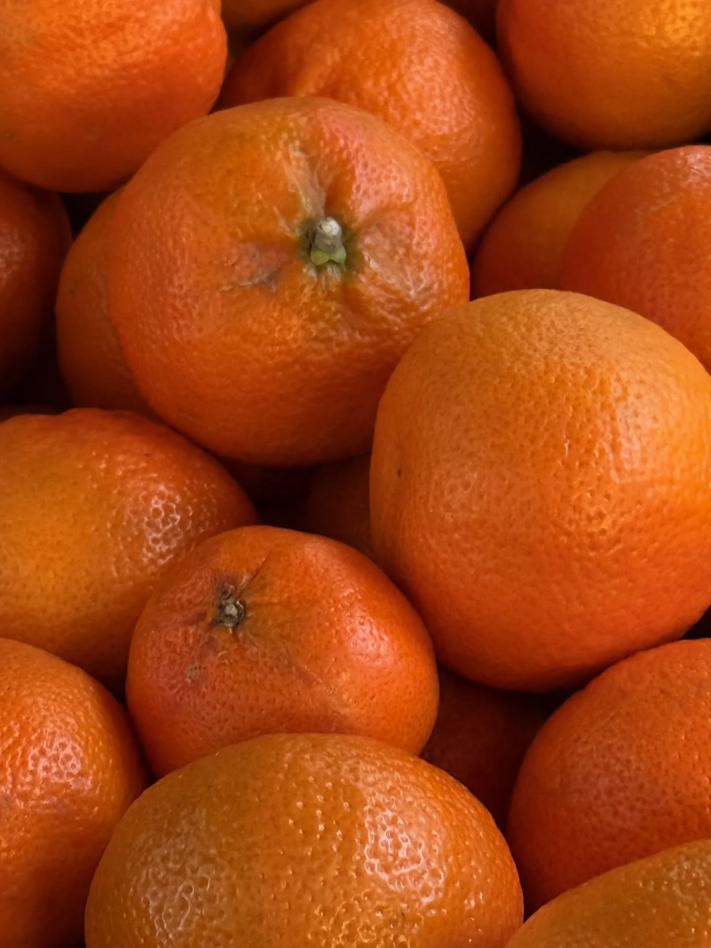 09112025 Some orange things I saw 🍊