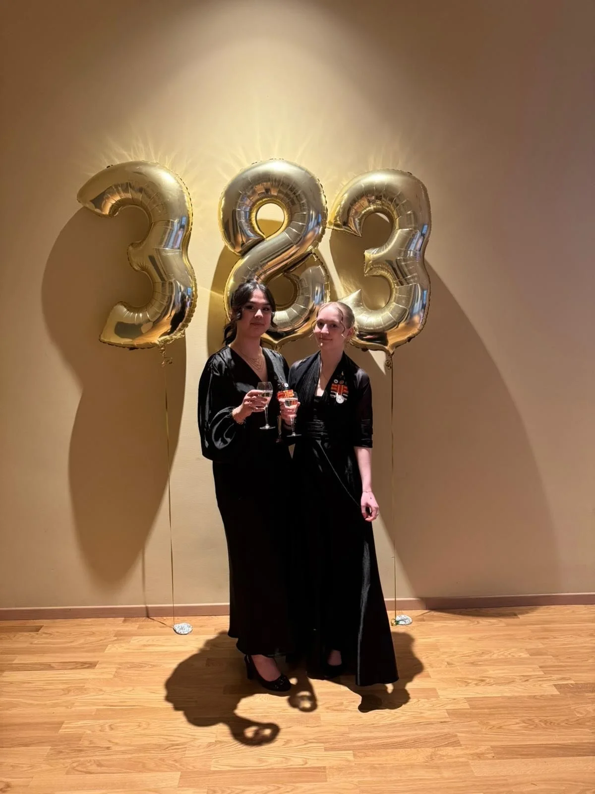 I helgen har ordf&ouml;rande Kayla Henriksson och vice-ordf&ouml;rande Carmela Wikstr&ouml;m &aring;kt till Helsingfors och reppat p&aring; @abonation &aring;rsfest!!

Vi tackar f&ouml;r inbjudan och gratulerar er till 383-verksamhets&aring;r! 🥂🥂💐