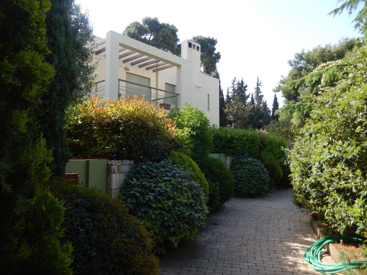 Picture4.jpg