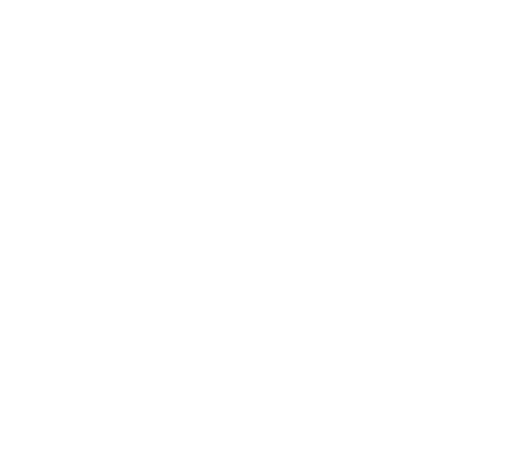 Border Trust Logo Transparent.png