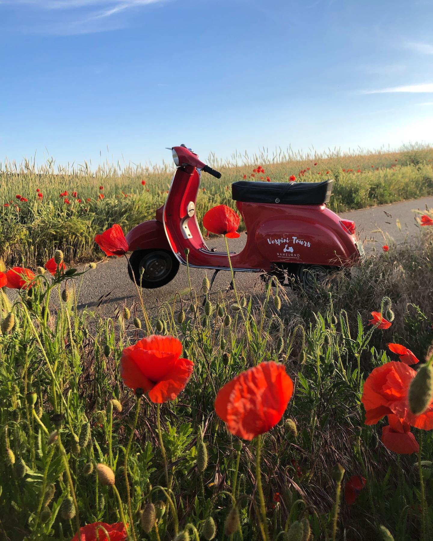 Den Sommer genie&szlig;en 🤍 k&uuml;hler Fahrtwind, herrliche Landschaft und tolle Weing&uuml;ter zum entdecken! 

&raquo;auf zur Naheufer-Tour! 

#vespatour #vespinitoursnaheland #naheland