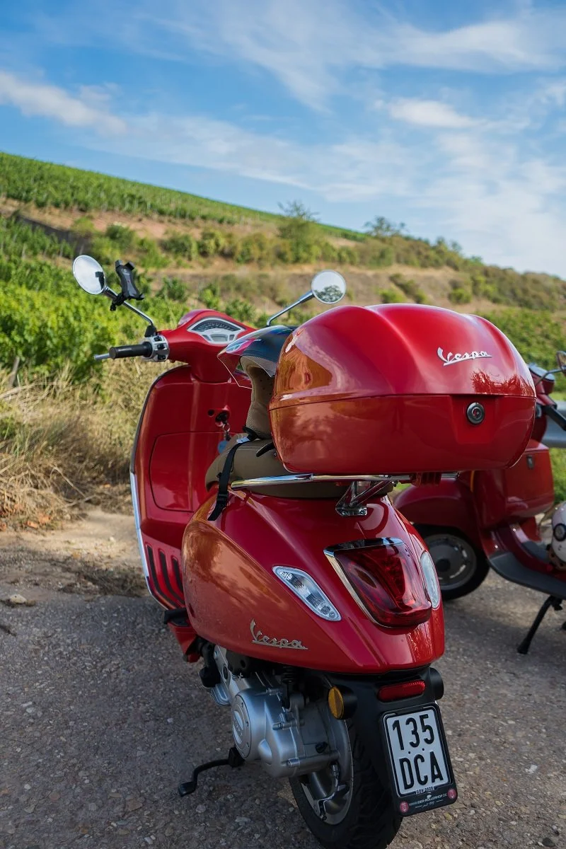 Willkommen zur Saison 2026