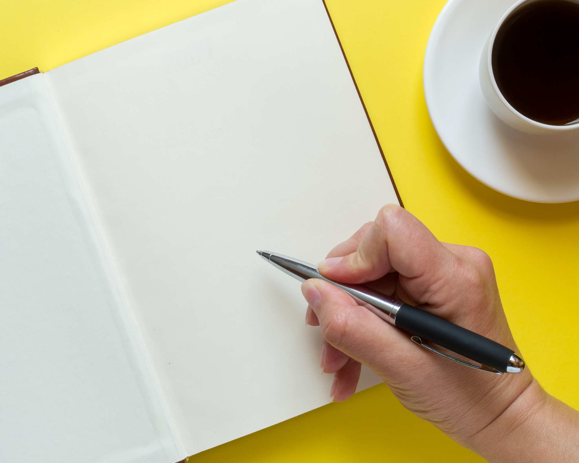 Addiction to Recovery : The Diary of a Cocaine Addict