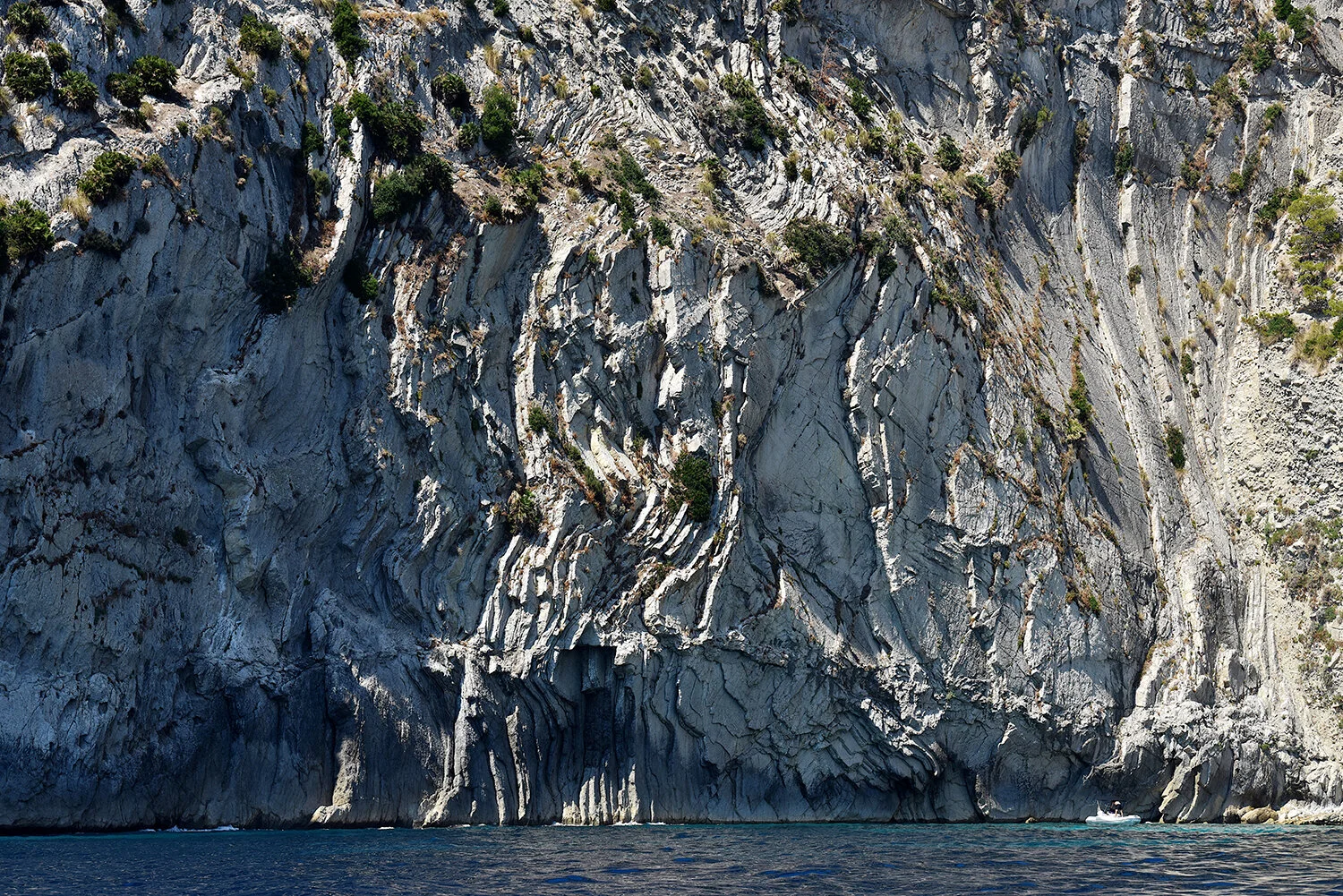 DSC_9420.jpg