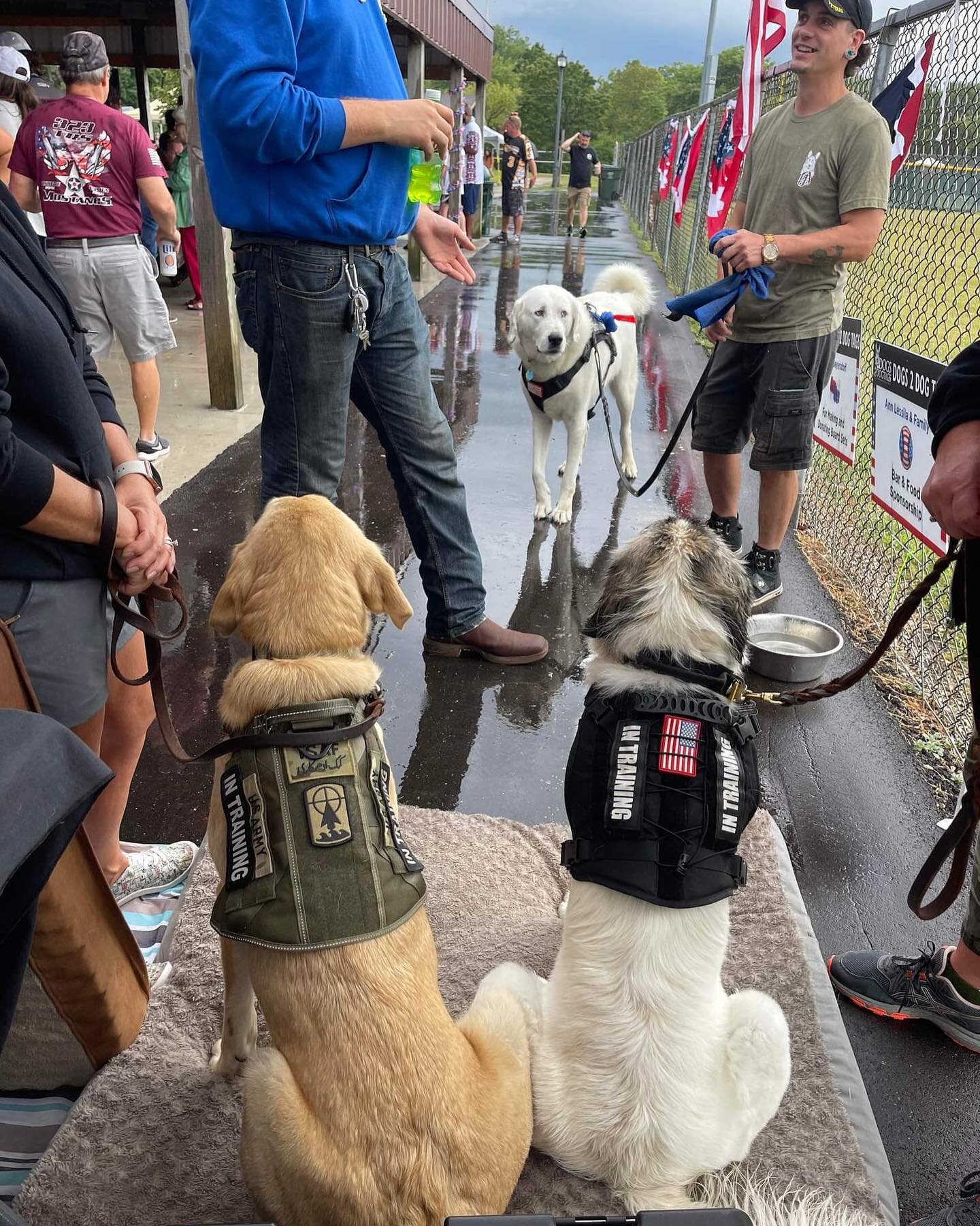 We had such a great weekend at the Hope for Our Heroes Softball Tournament! It was a great event with so many good people. Thanks to everyone who came out and thanks to the event organizers for their amazing support! ⚾️🐶🇺🇸