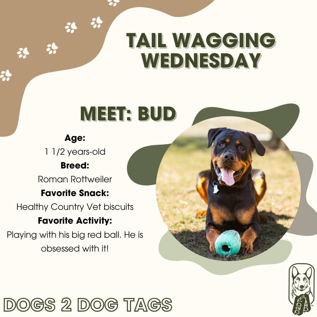 Introducing Tail Wagging Wednesdays! We are excited to introduce  Bud and a few of his favorite things! 🐶🐾 #TailWaggingWednesday #D2DT