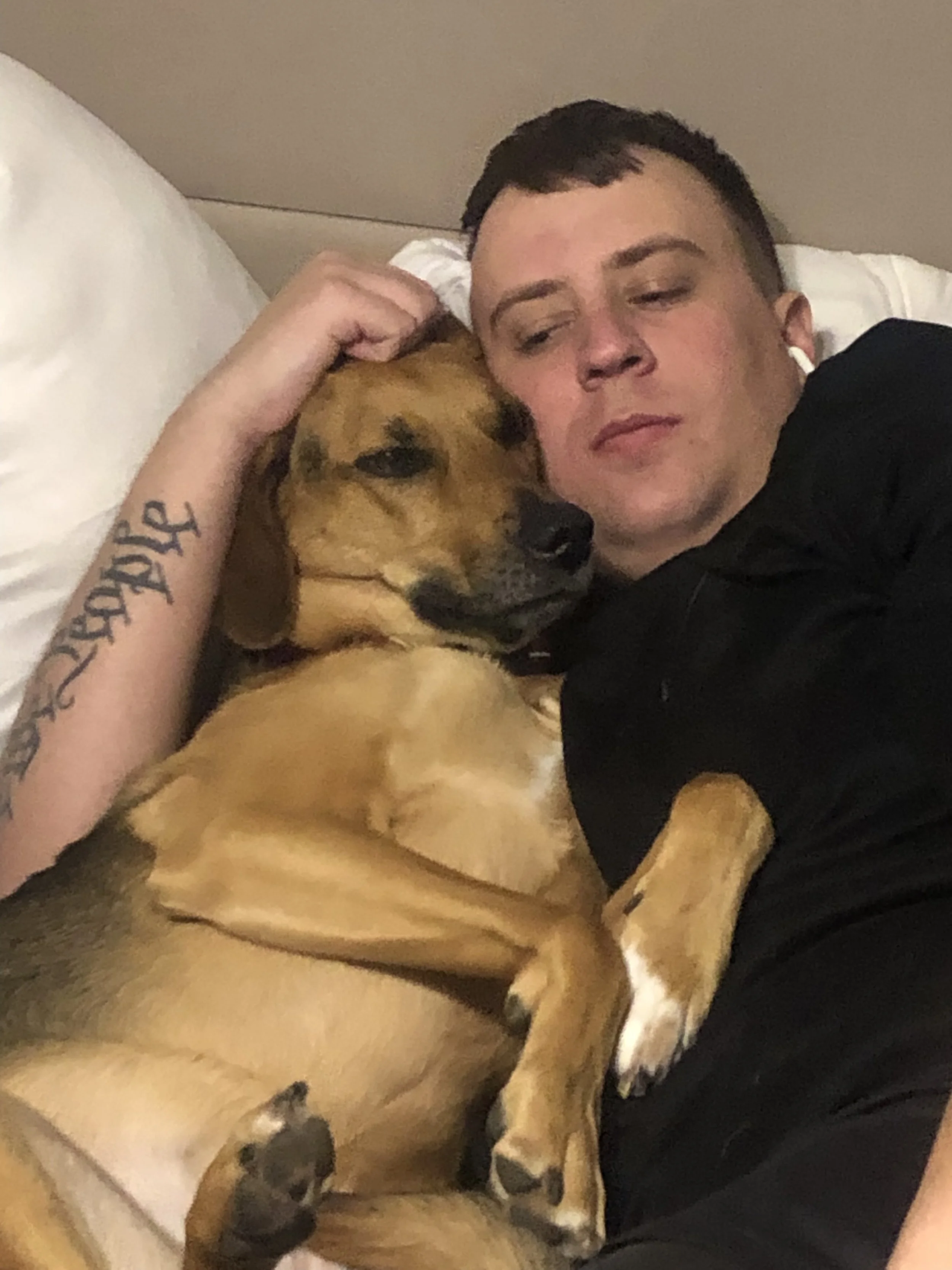 Dogs2DogTags dog Lilly