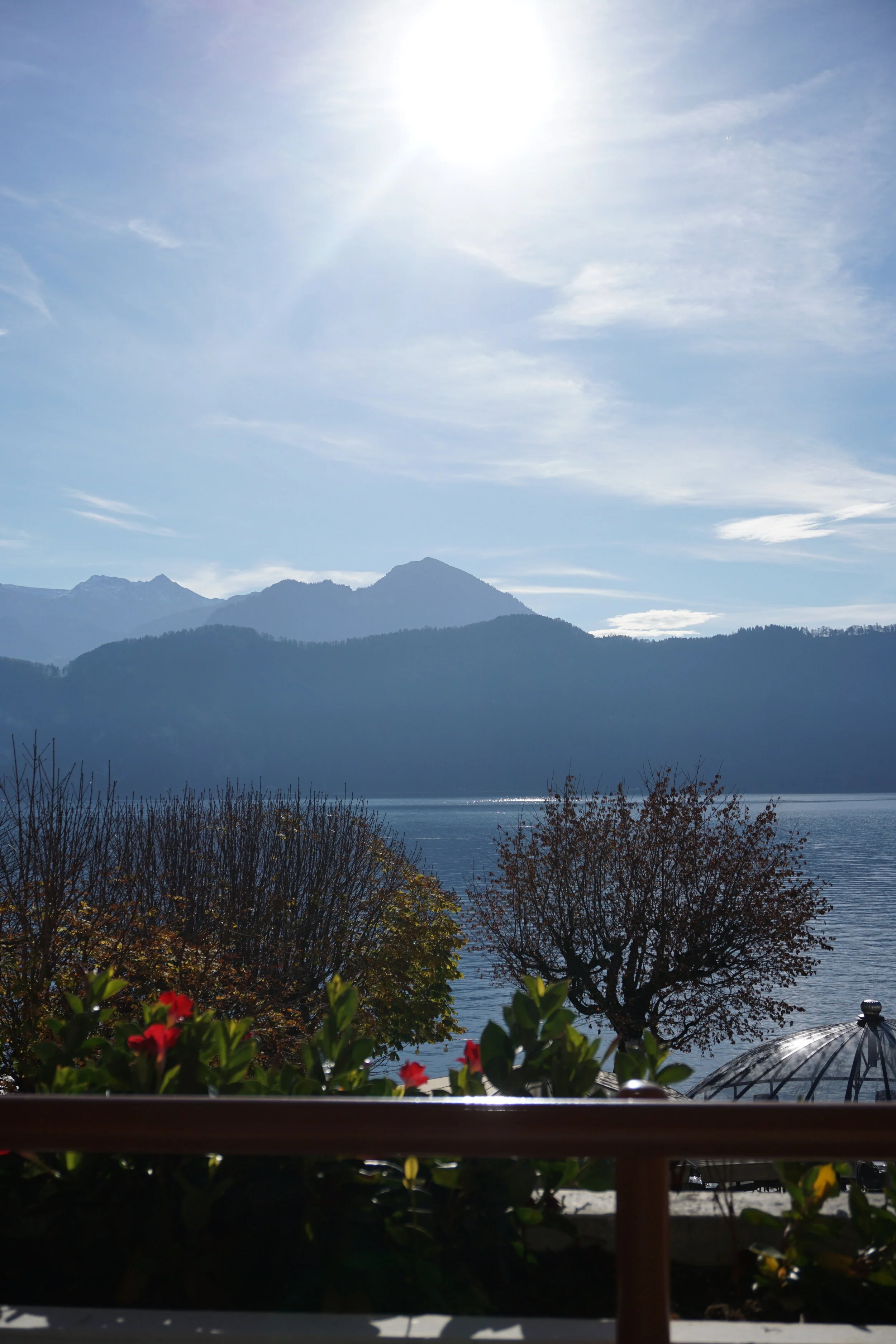 Lake Lucerne from Weggis