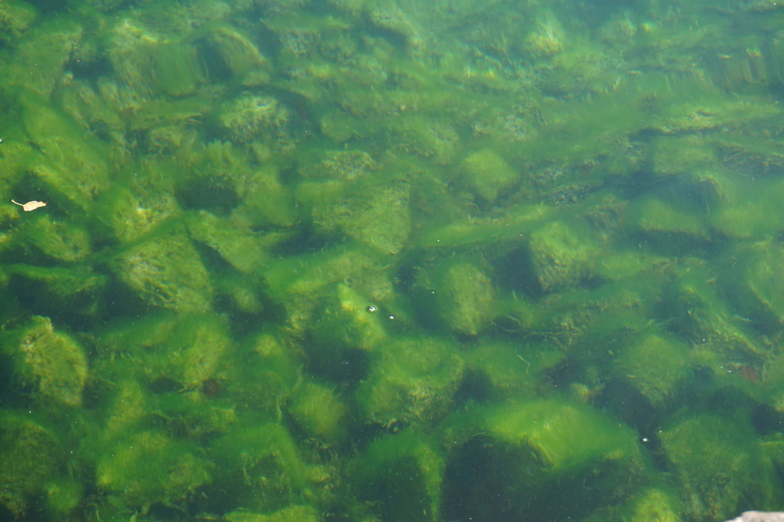 Under the Water - Lake Lucerne