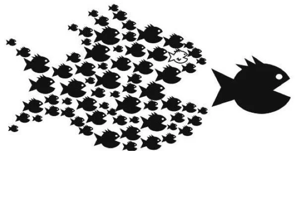 "Hoe groter, hoe onpersoonlijker?"