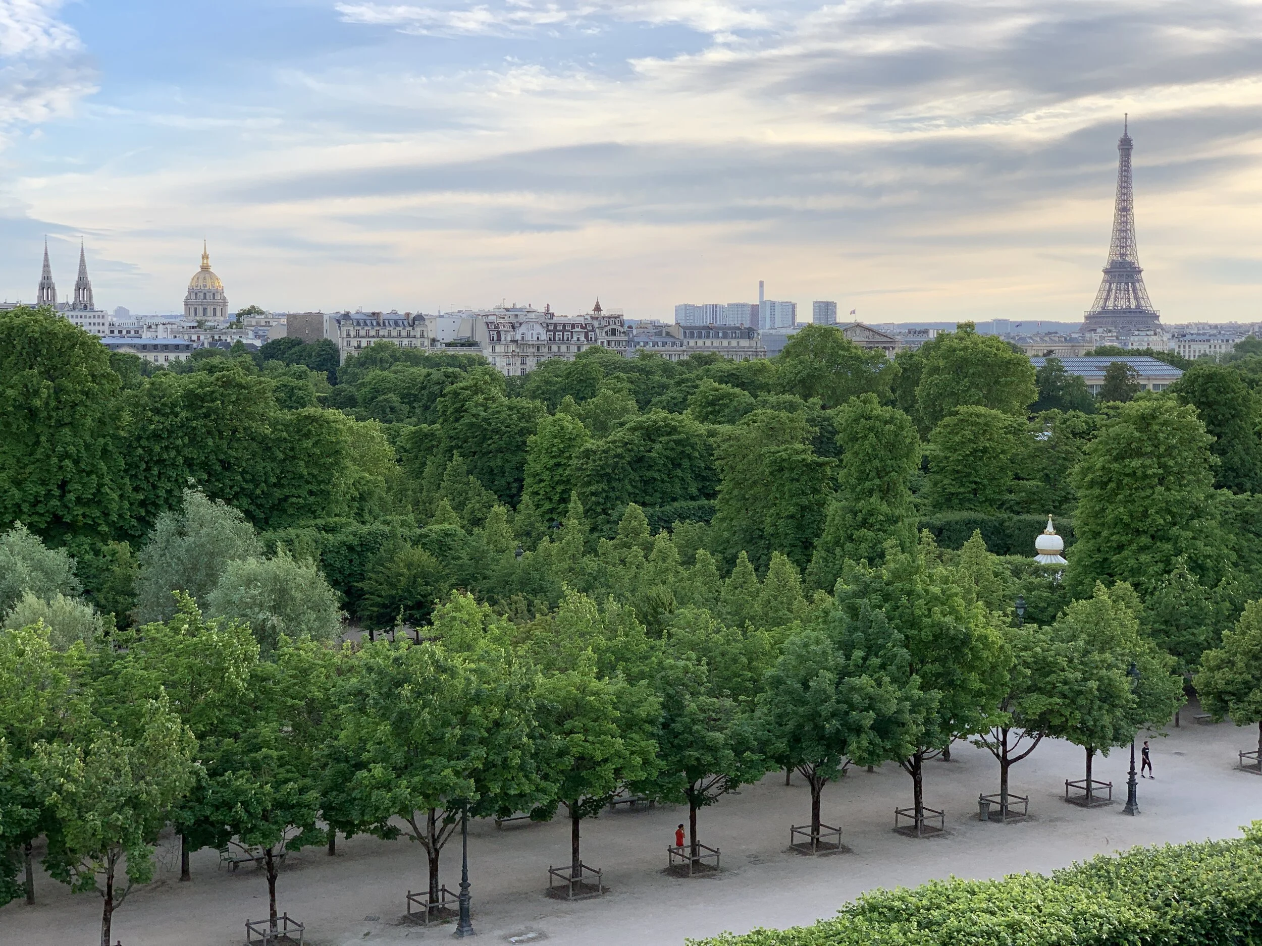Tuileries View from Le Meurice, Paris