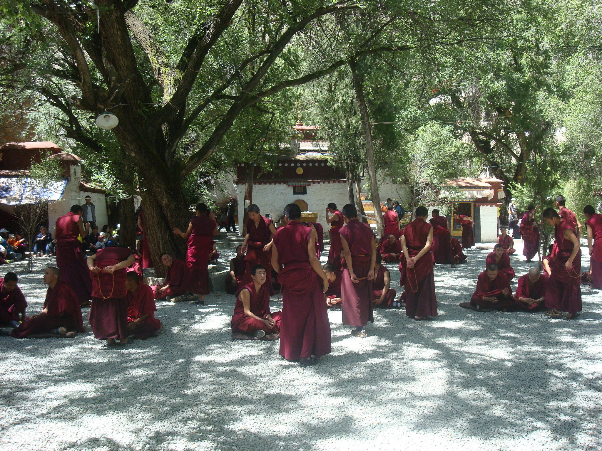 Young Lama monks debating in Tibet