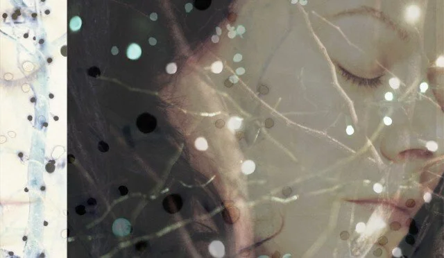 Wish You Were Here by Michele Thompson