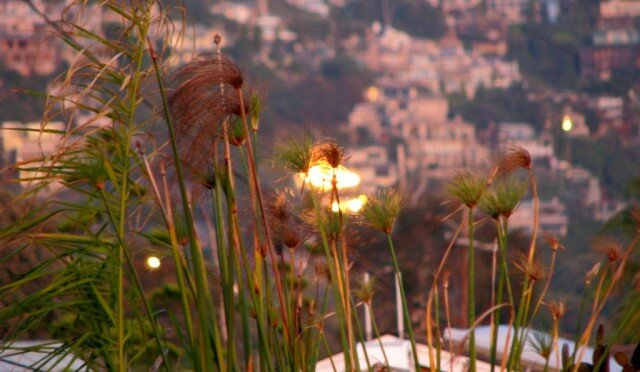 Things That Belong in the Sky